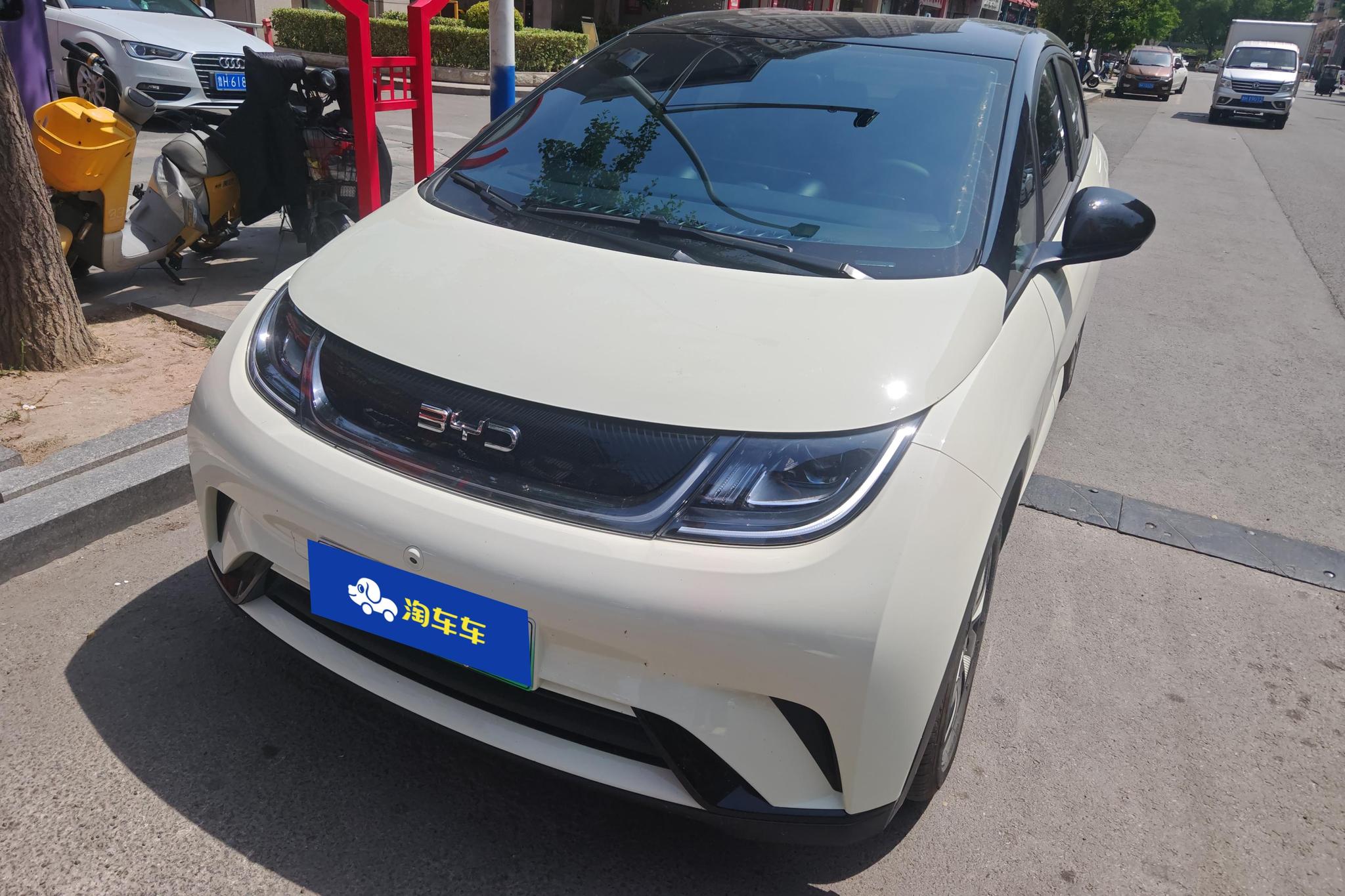 BYD Dolphin 2025 420KM Freedom