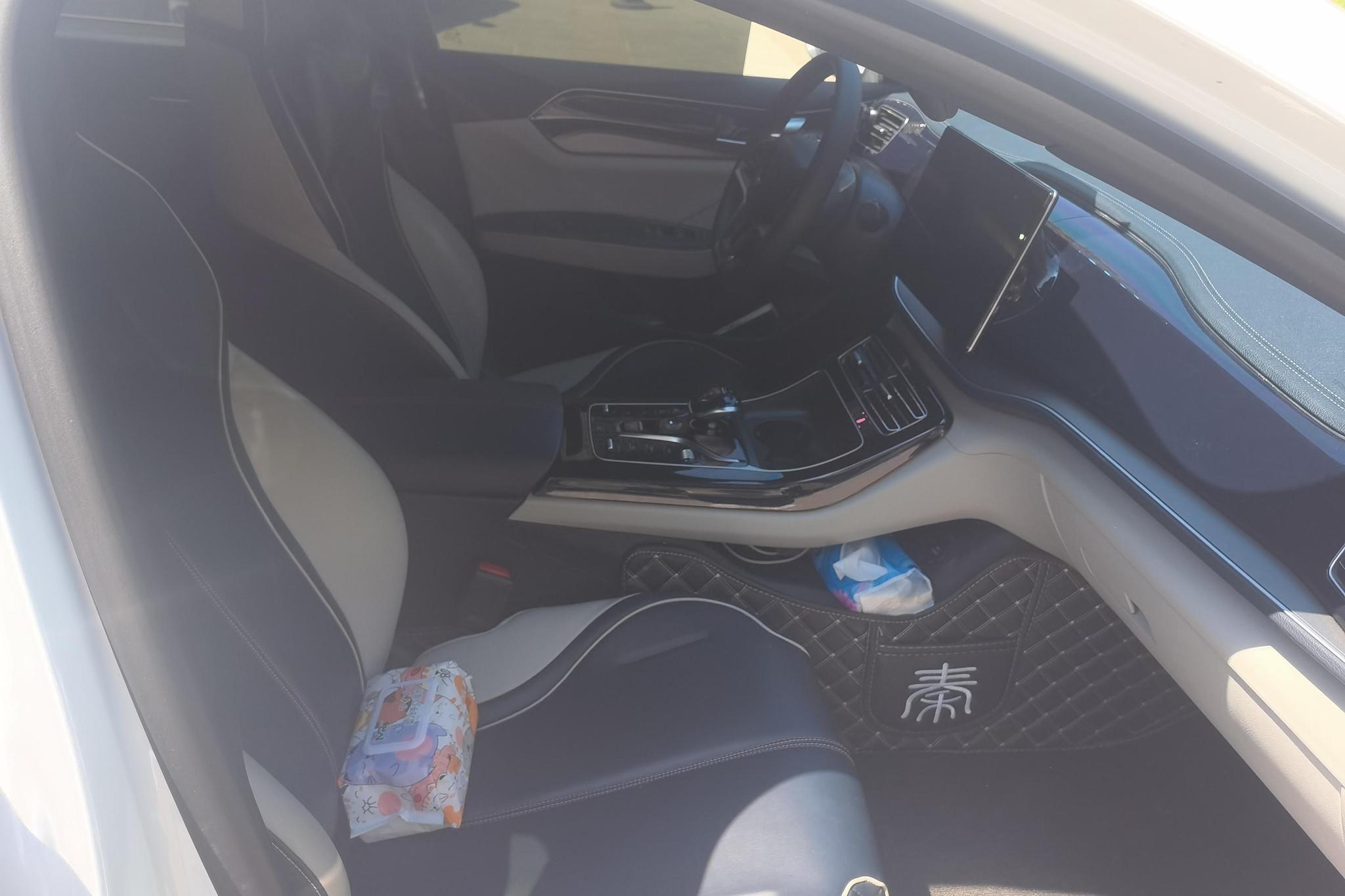 BYD Qin Plus EV PLUS EV 2021 500KM Luxury