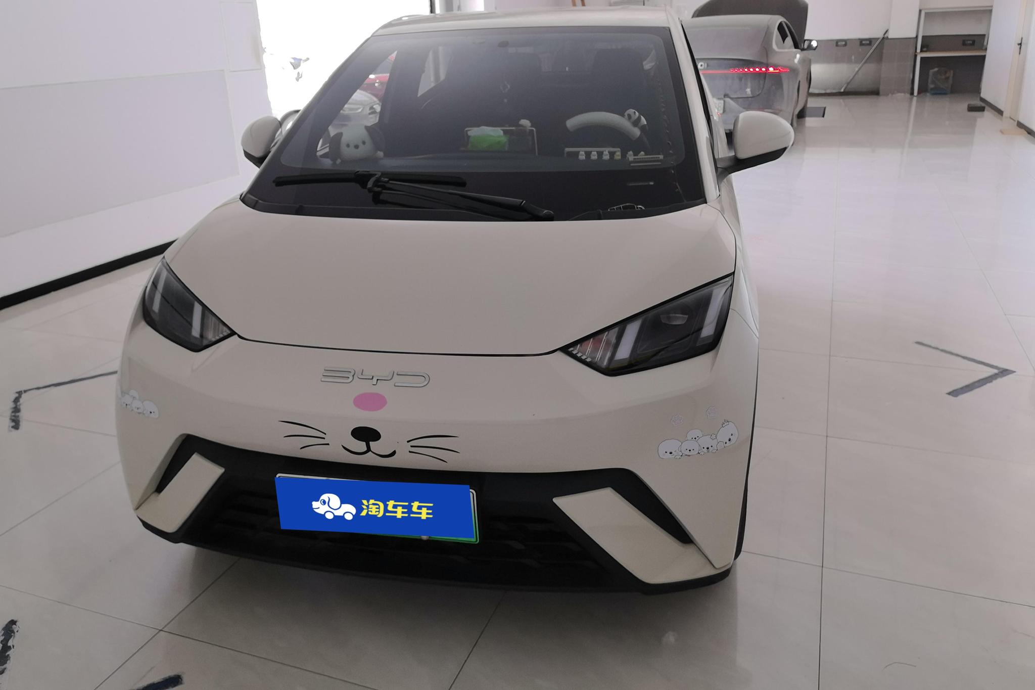 BYD Seagull 2023 Freedom