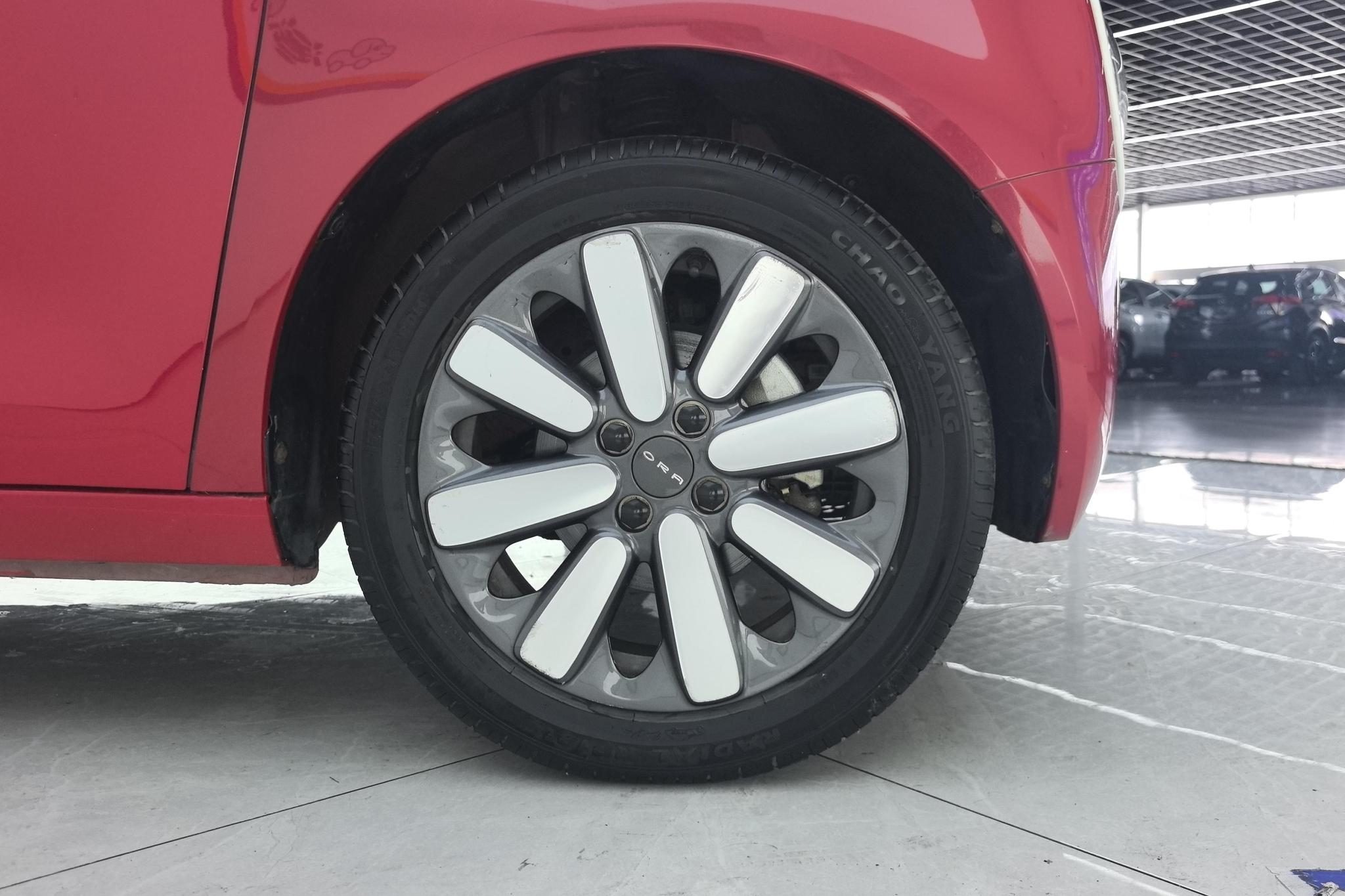 Ora Black Cat 2019 351km