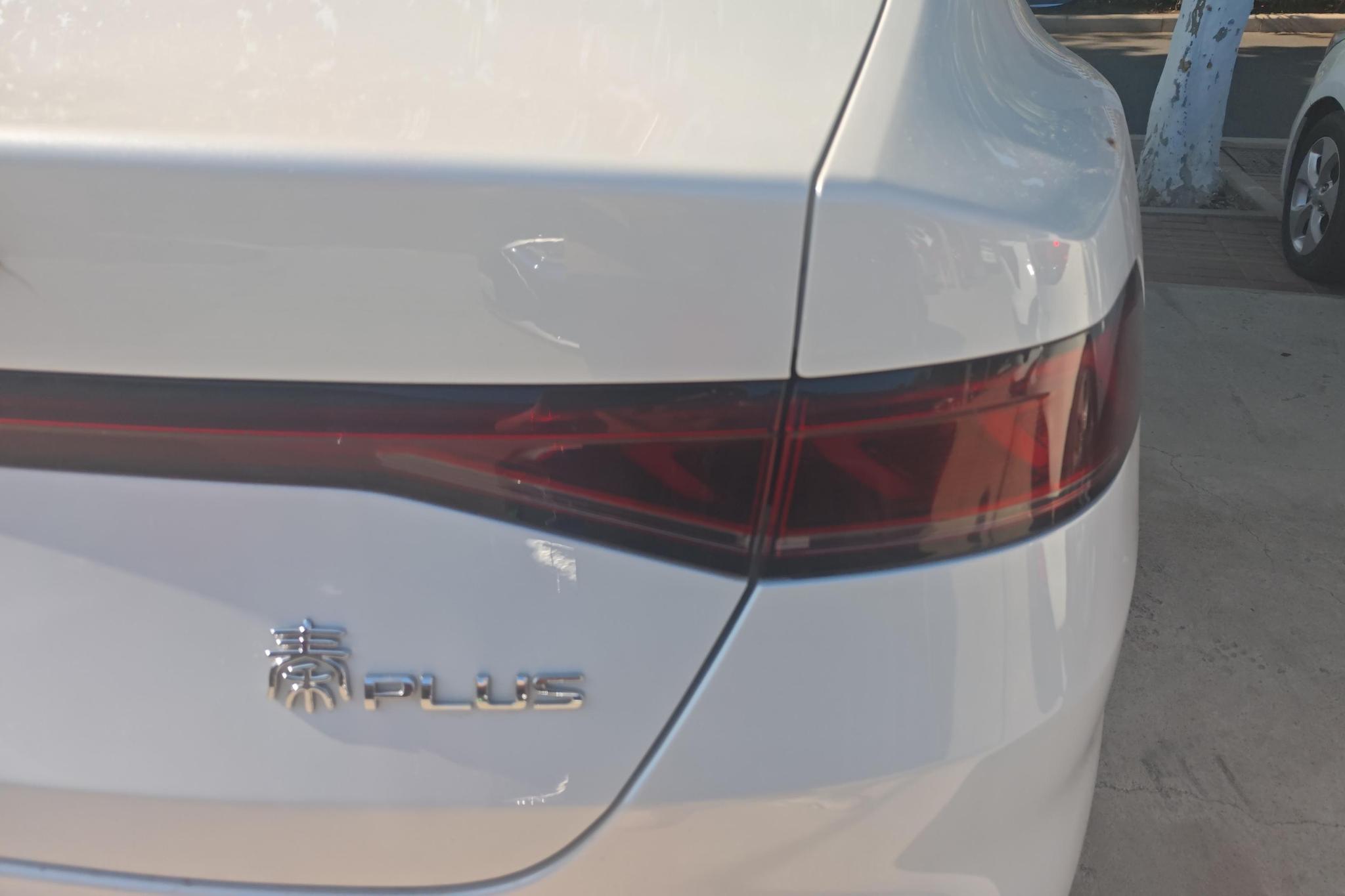 BYD Qin Plus EV PLUS EV 2024 510KM Lead