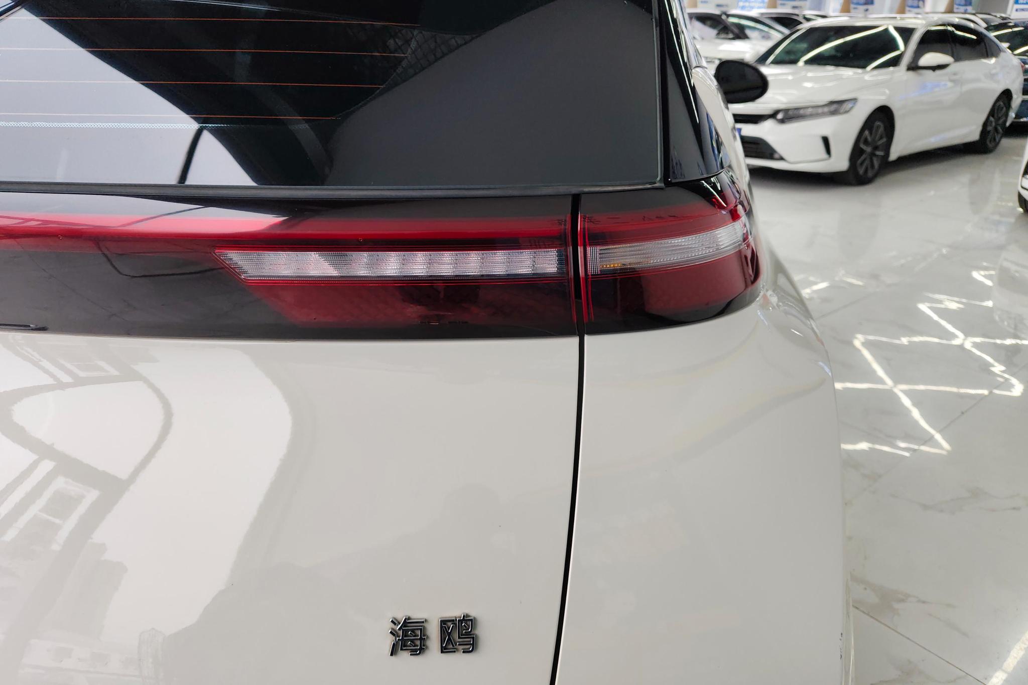 BYD Seagull 2025 305KM Freedom