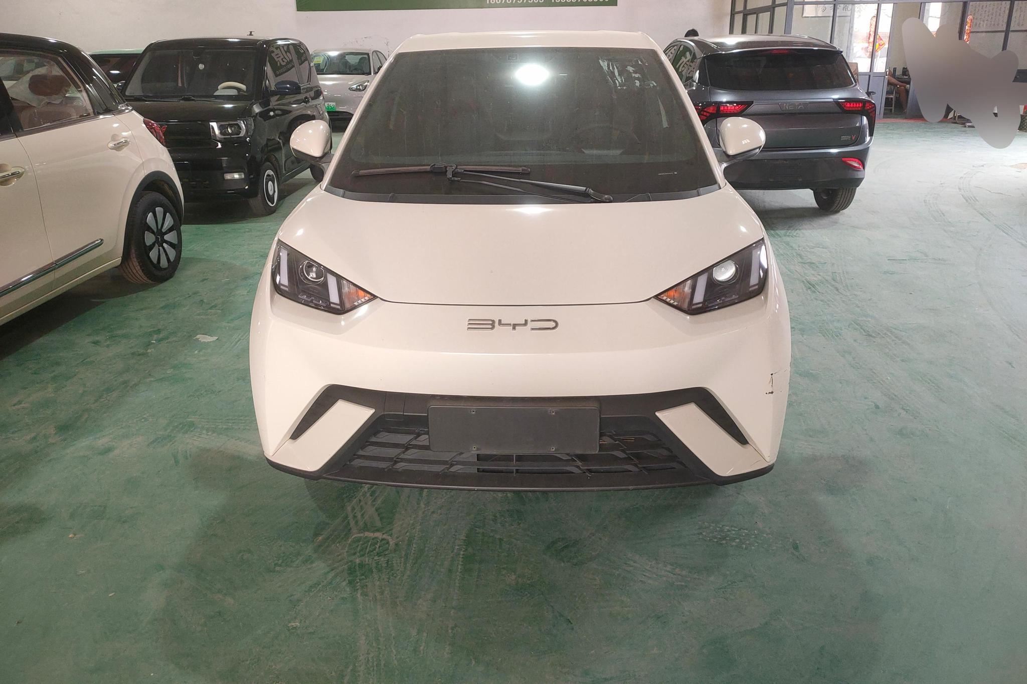 BYD Seagull
