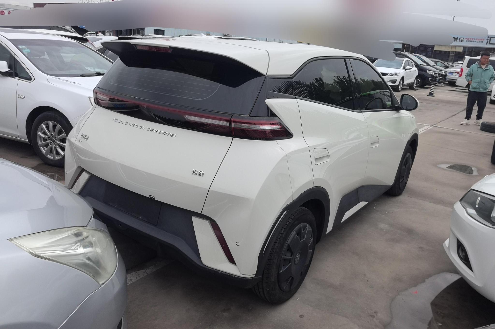 BYD Seagull