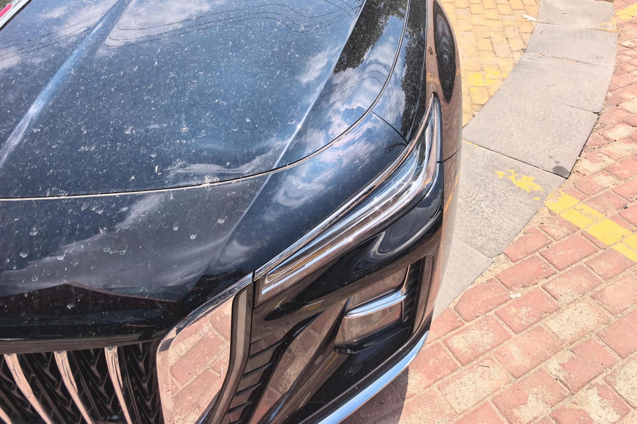 Hongqi H5 2024 2.0T AT
