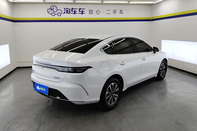 BYD Destroyer 05 2024 DM-i 55 KM Luxury — фото 3