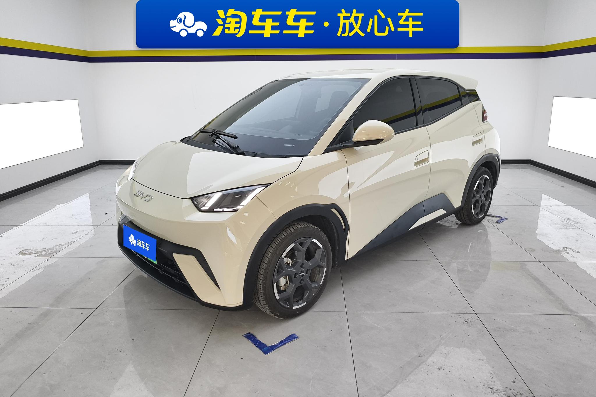BYD Seagull