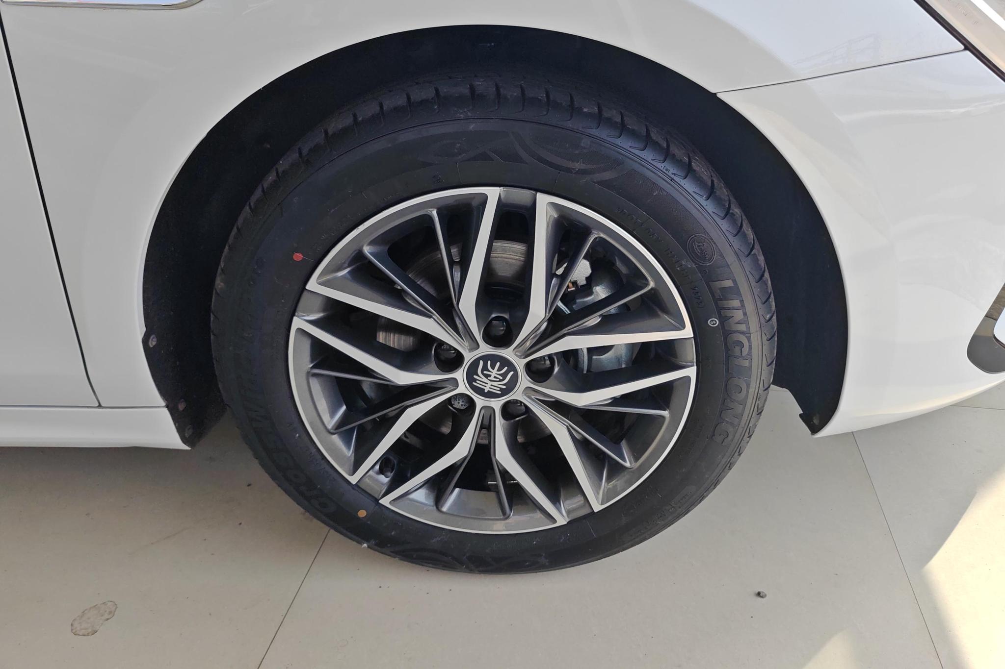 BYD Qin Plus EV PLUS EV 2023 Champion 510KM