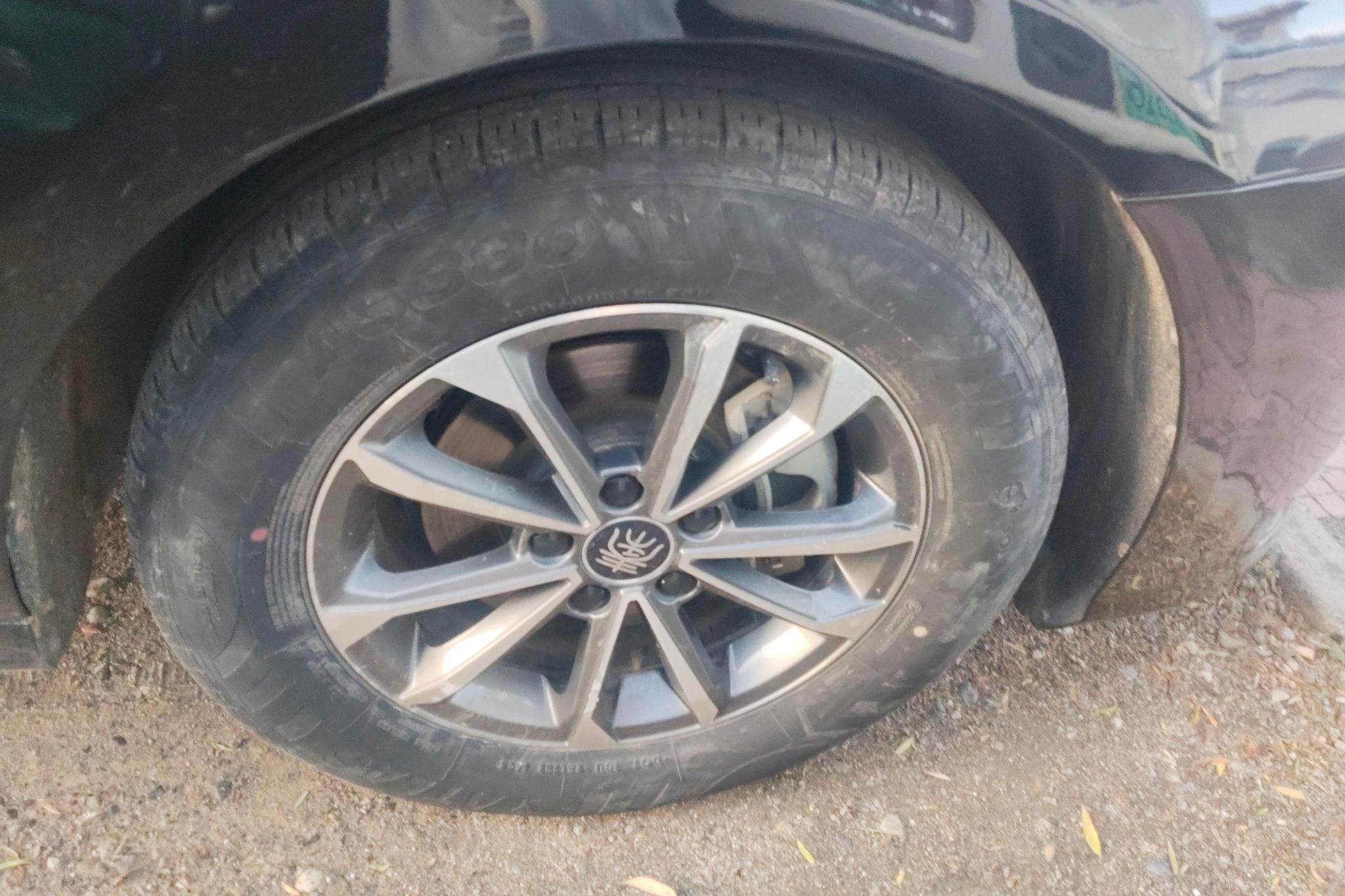 BYD Qin Plus DM-i PLUS DM 2024 DM-i 55KM Lead