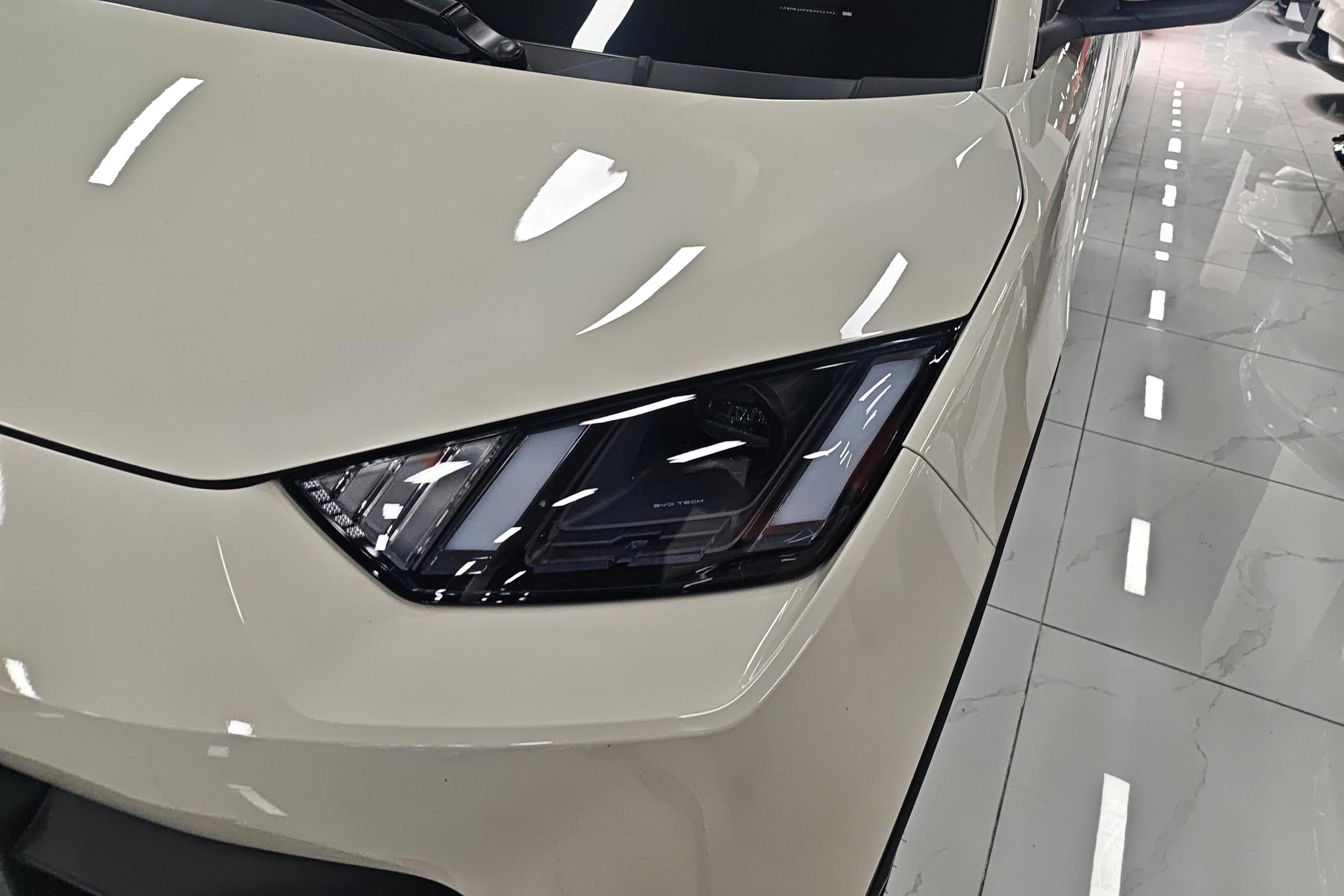 BYD Seagull 2024 405KM Flying
