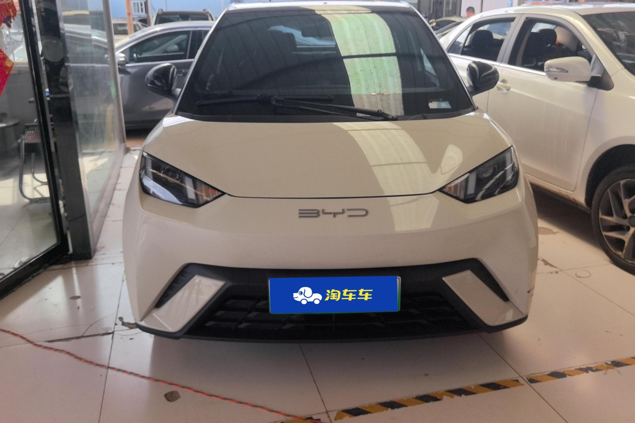 BYD Seagull