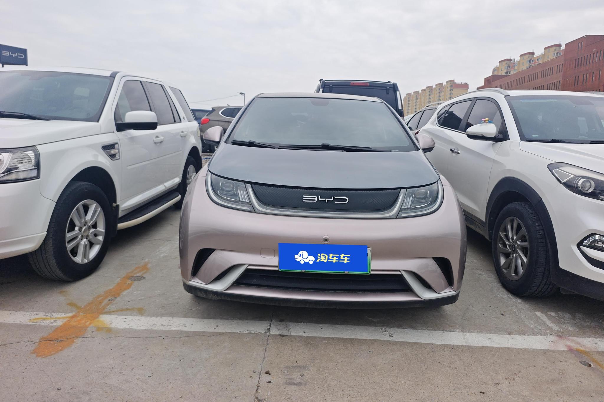 BYD Dolphin 2021 Fashion
