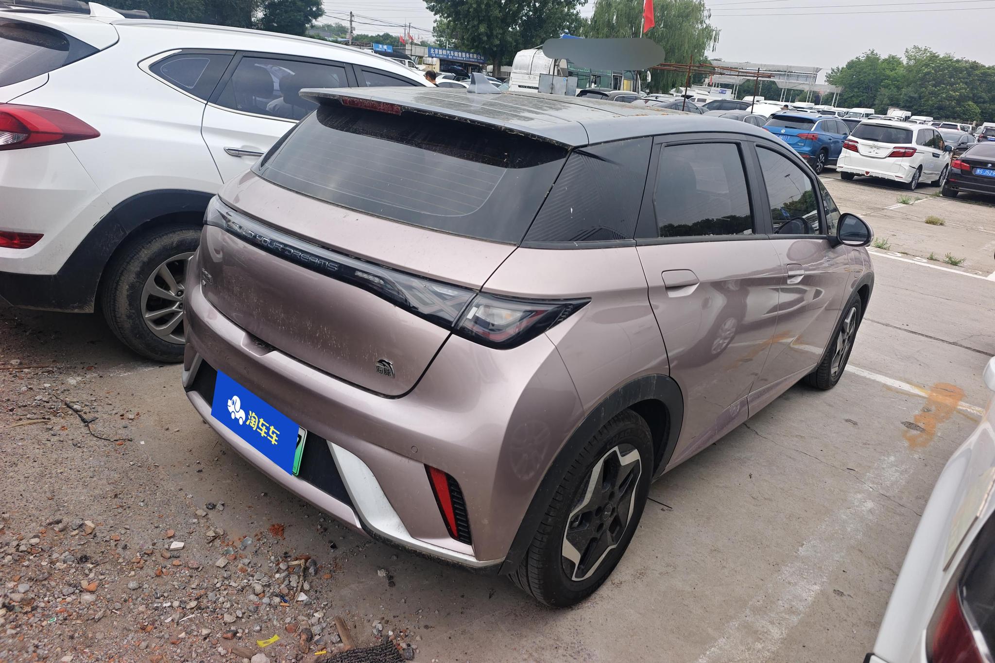 BYD Dolphin 2021 Fashion