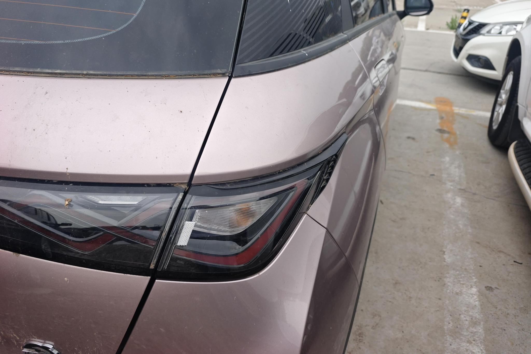 BYD Dolphin 2021 Fashion