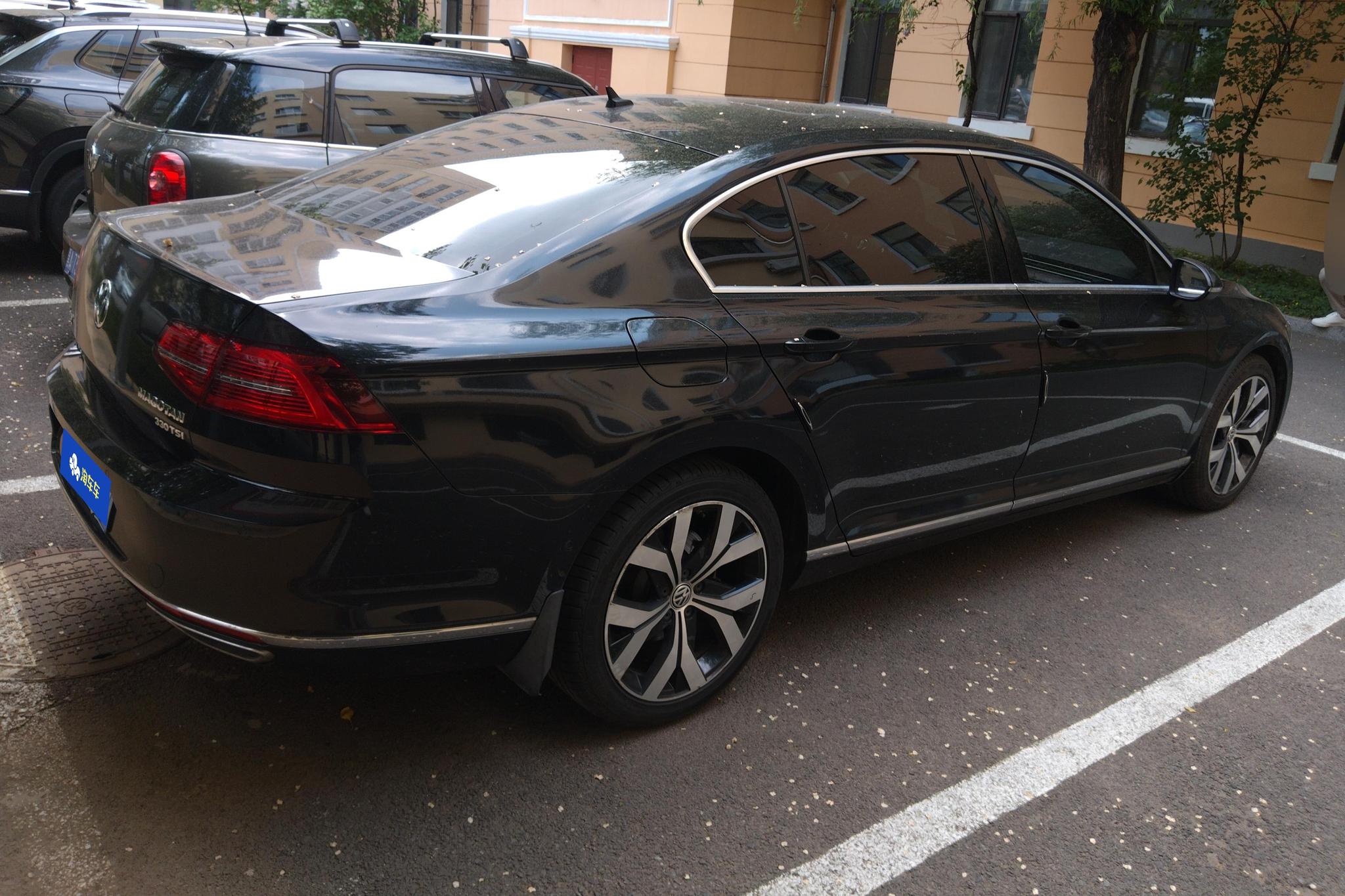 Volkswagen Magotan 2019 330TSI DSG Luxury V