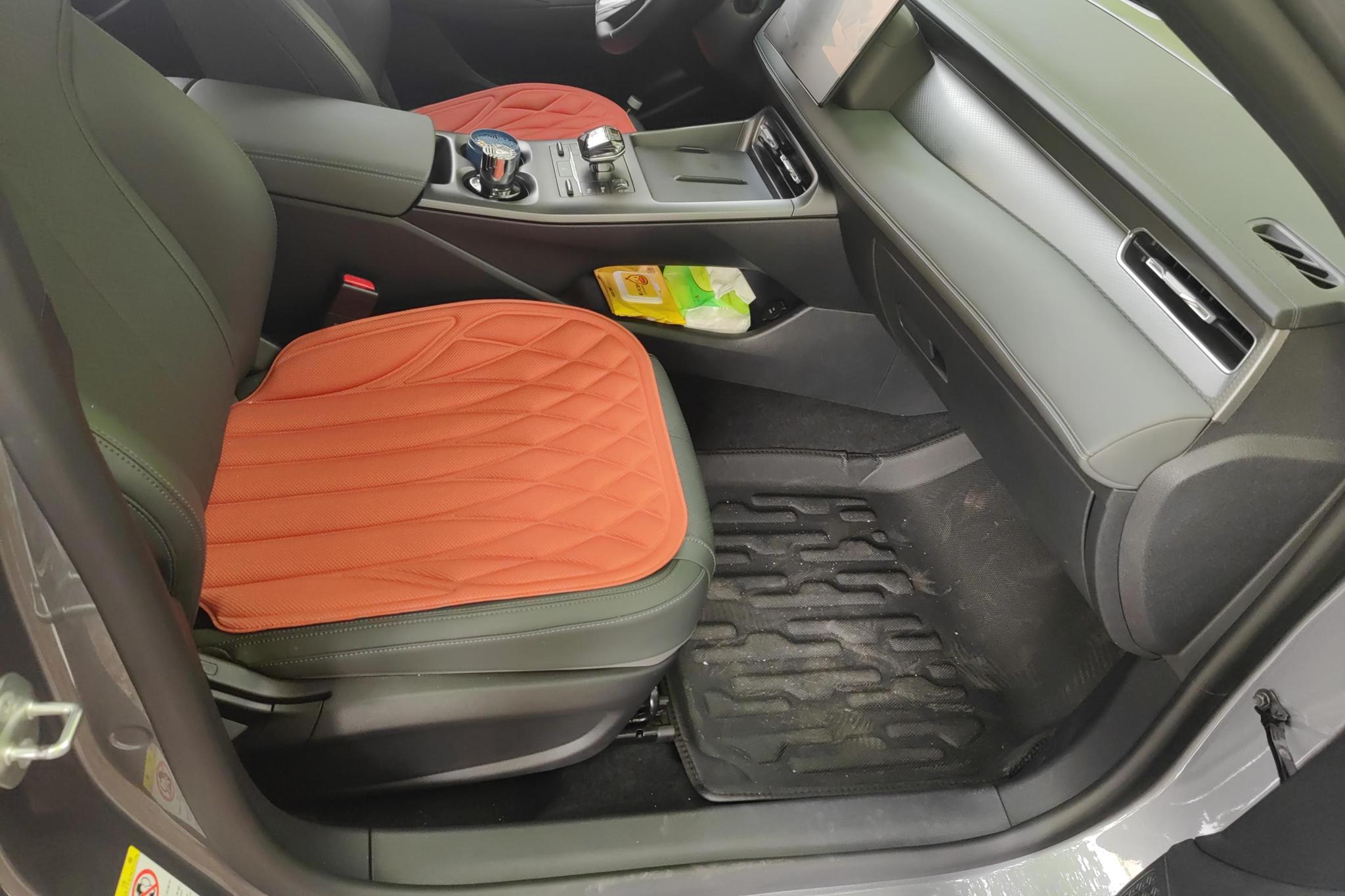BYD Qin Plus DM-i PLUS DM 2025 Smart Drive DM-i 55KM Lead