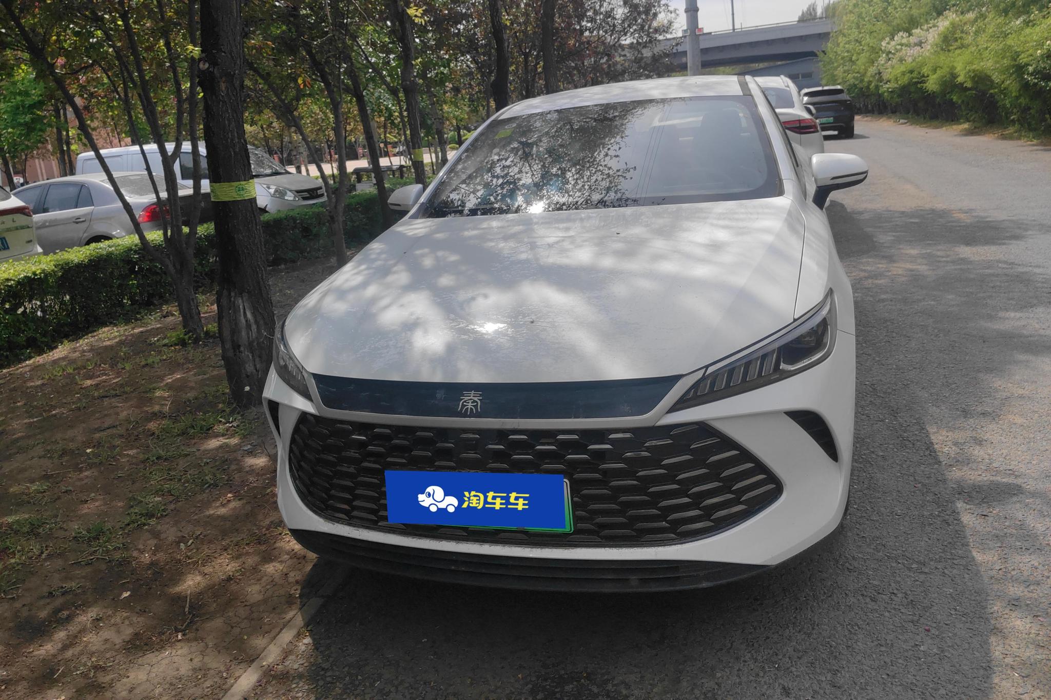 BYD Qin Plus DM-i PLUS DM 2025 Smart Drive DM-i 55KM Lead