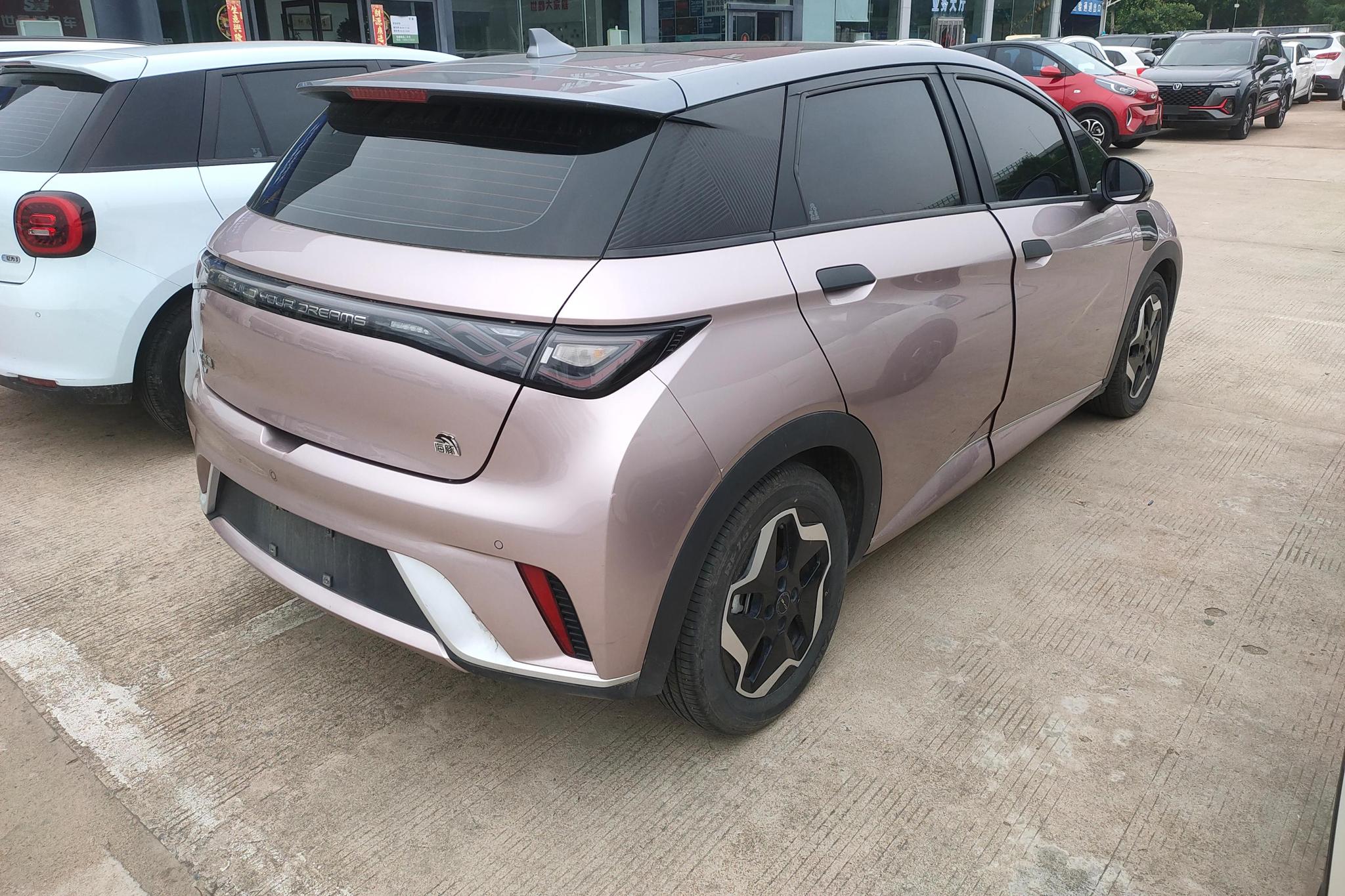 BYD Dolphin 2021 Fashion