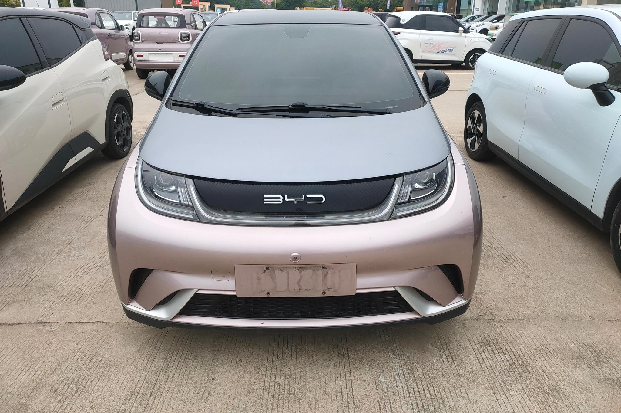 BYD Dolphin 2021 Fashion