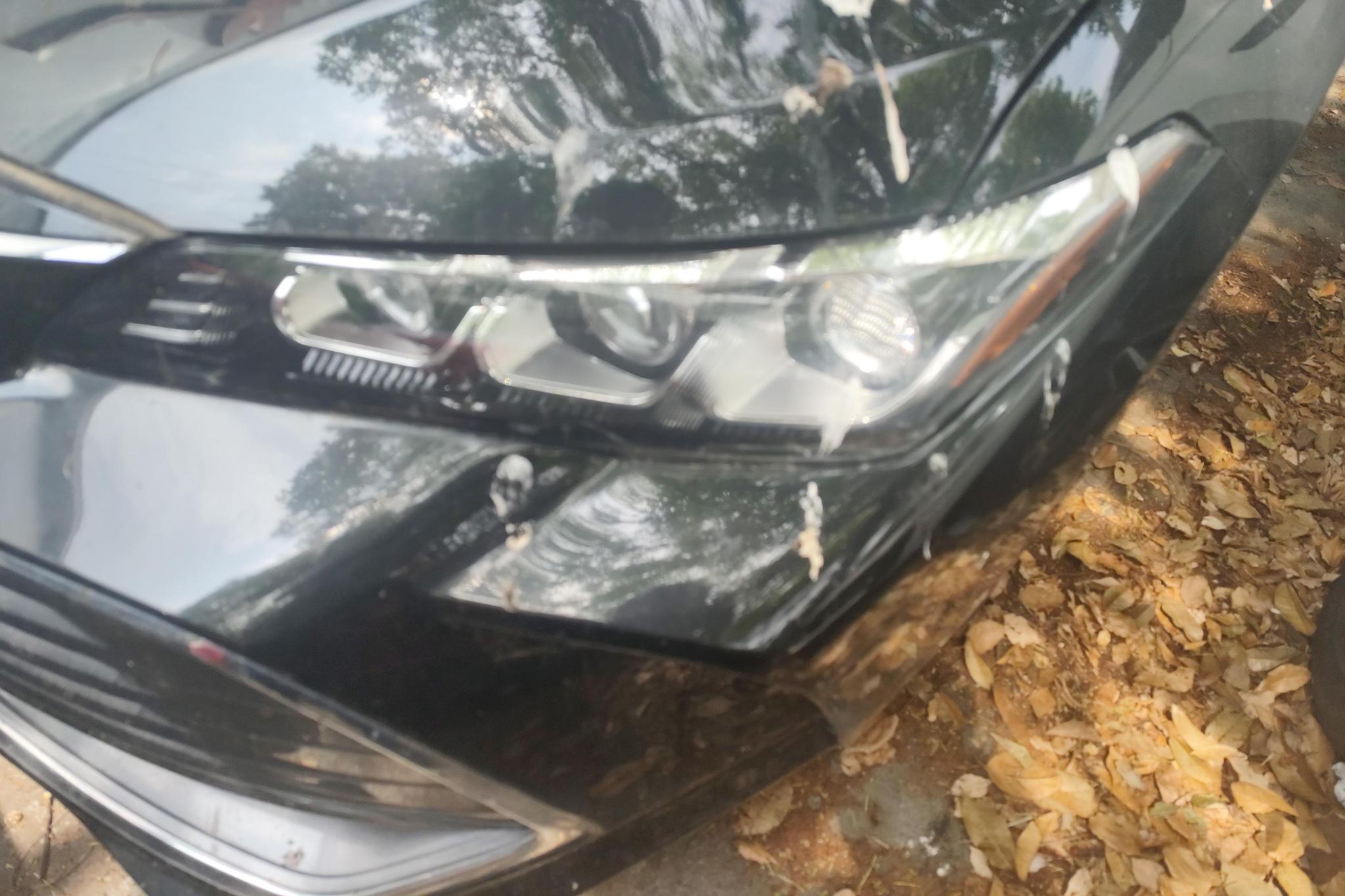 Toyota Avalon 2019 2.0L VI