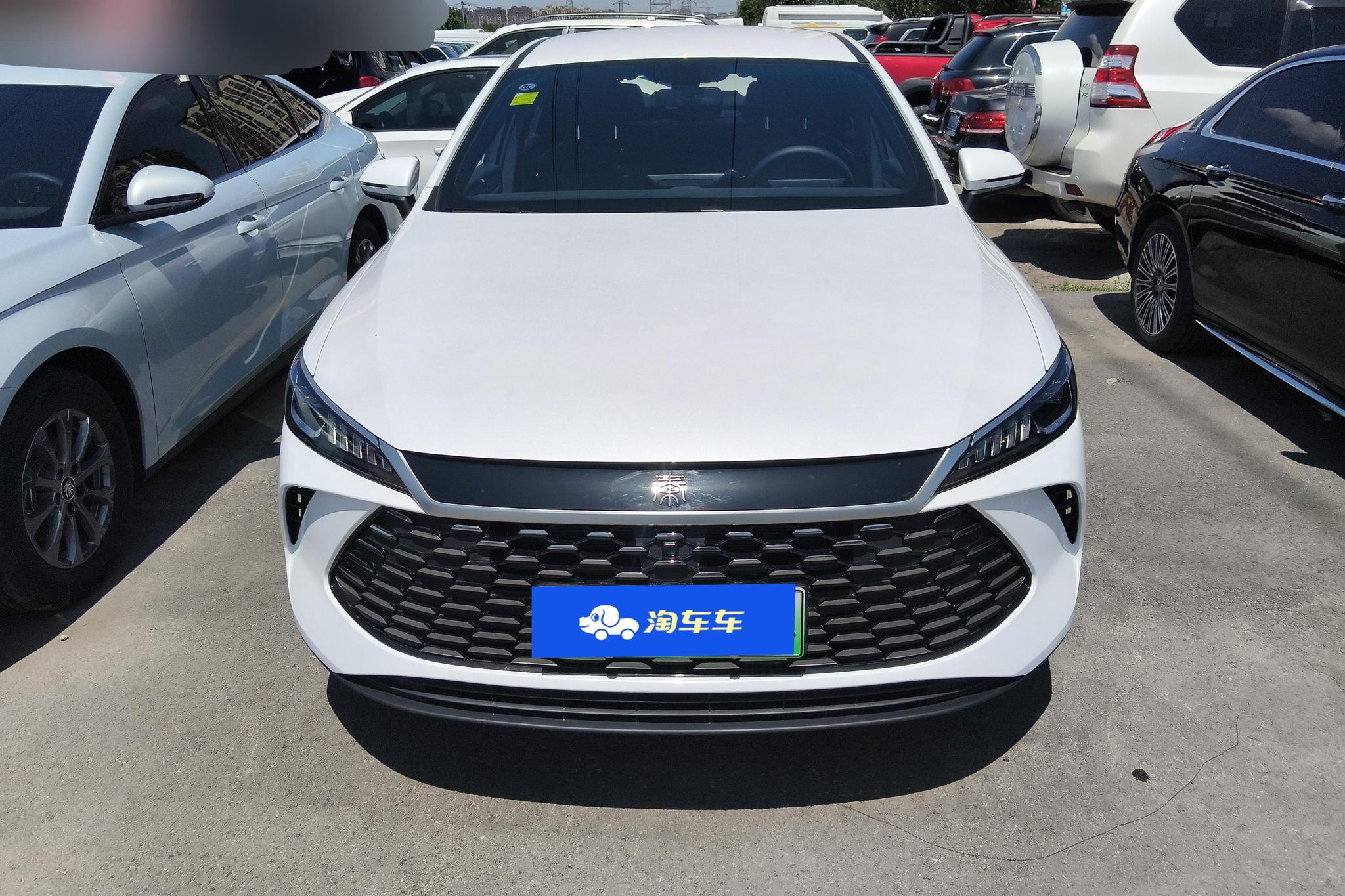 BYD Qin Plus DM-i PLUS DM 2025 Smart Drive DM-i 55KM Lead