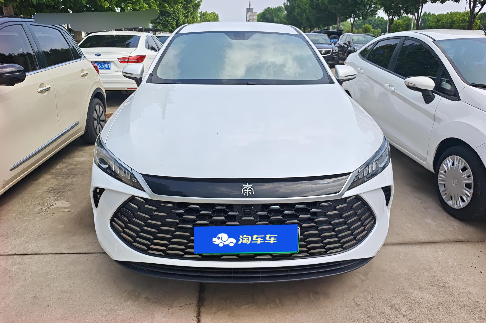 BYD Qin Plus DM-i PLUS DM 2025 Smart Drive DM-i 55KM Lead
