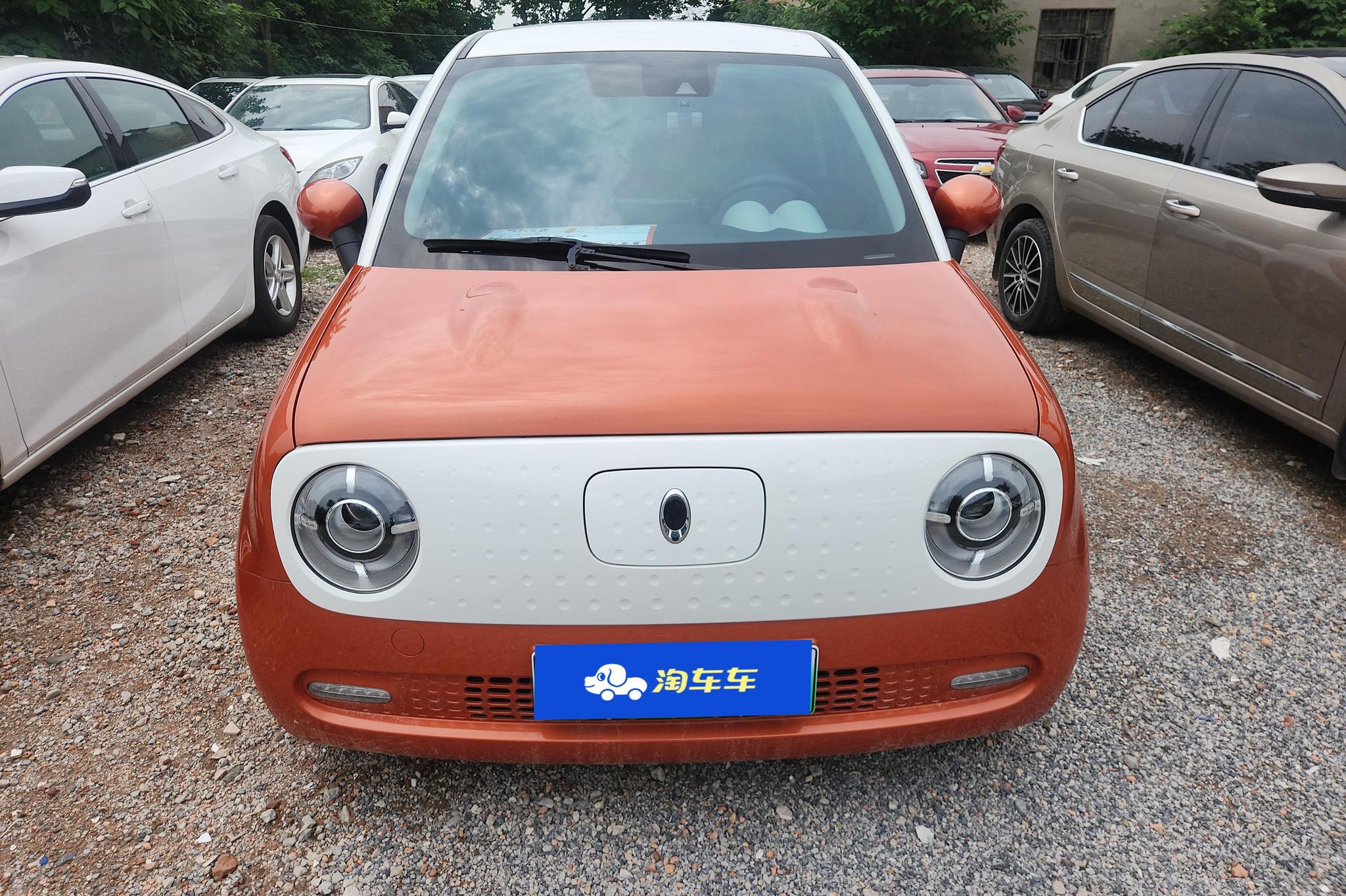Ora Black Cat 2019 351km