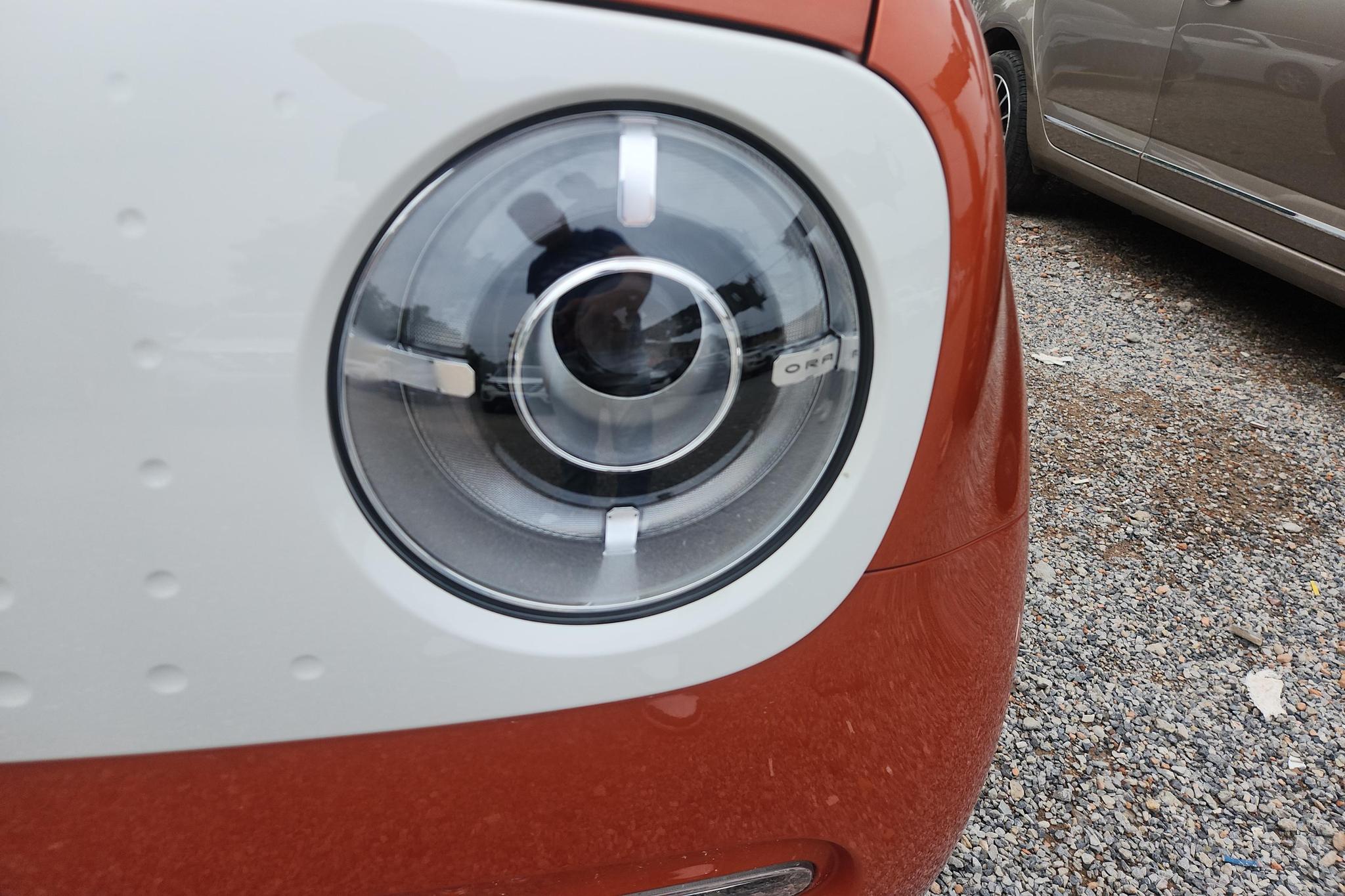 Ora Black Cat 2019 351km