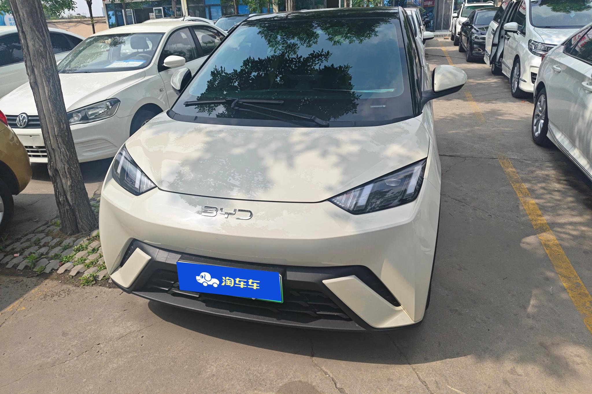 BYD Seagull 2024 305KM Freedom