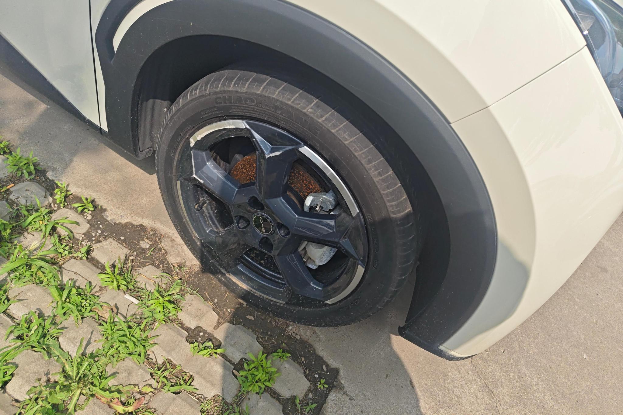 BYD Seagull 2024 305KM Freedom