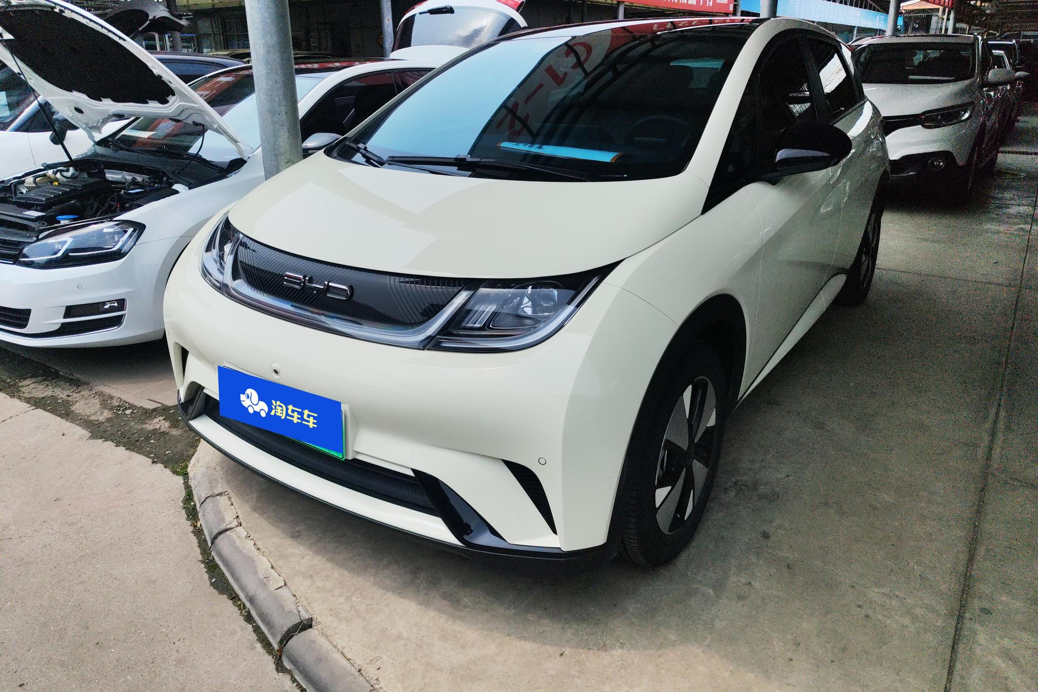 BYD Dolphin