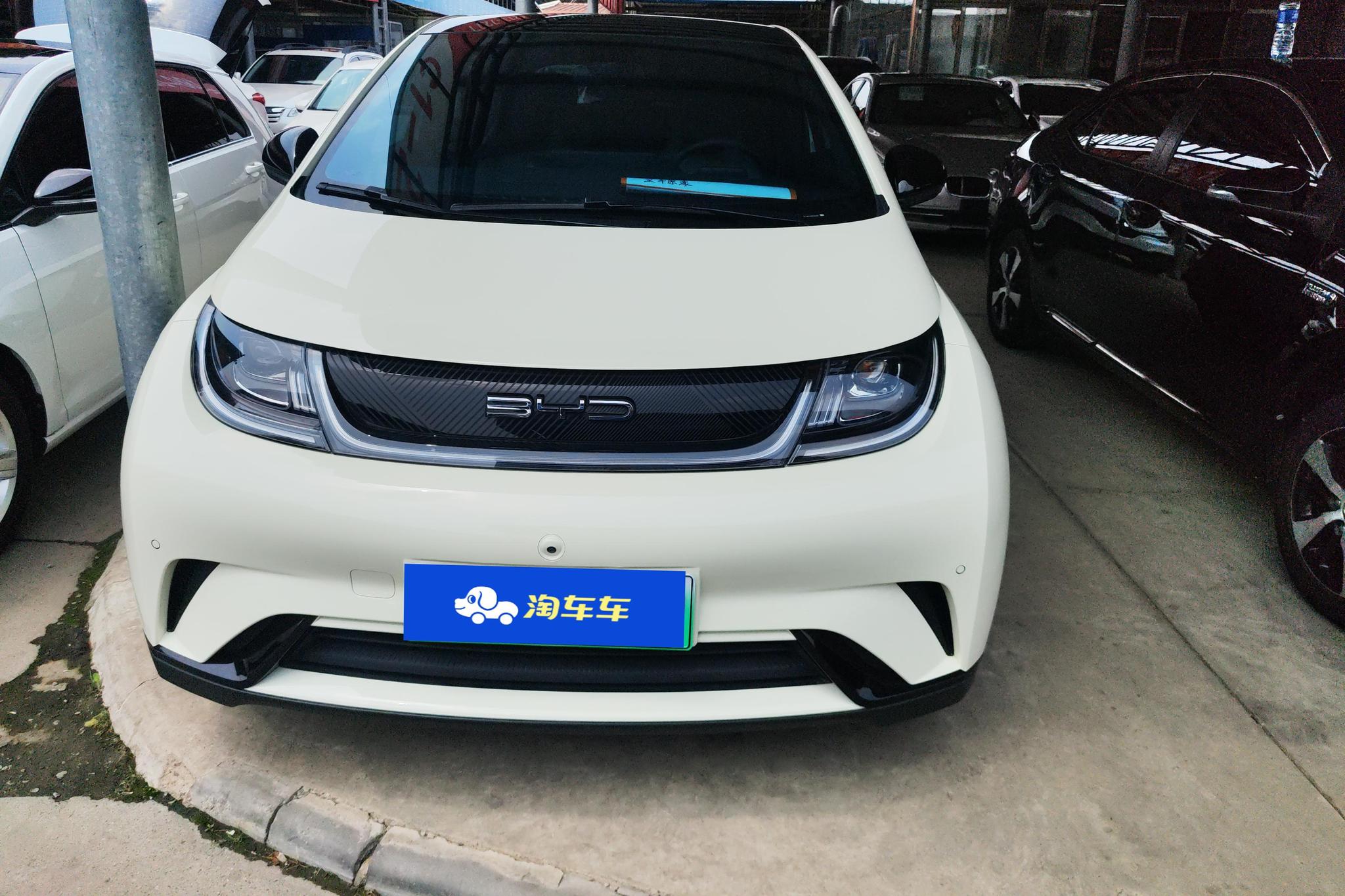BYD Dolphin 2023 Fashion