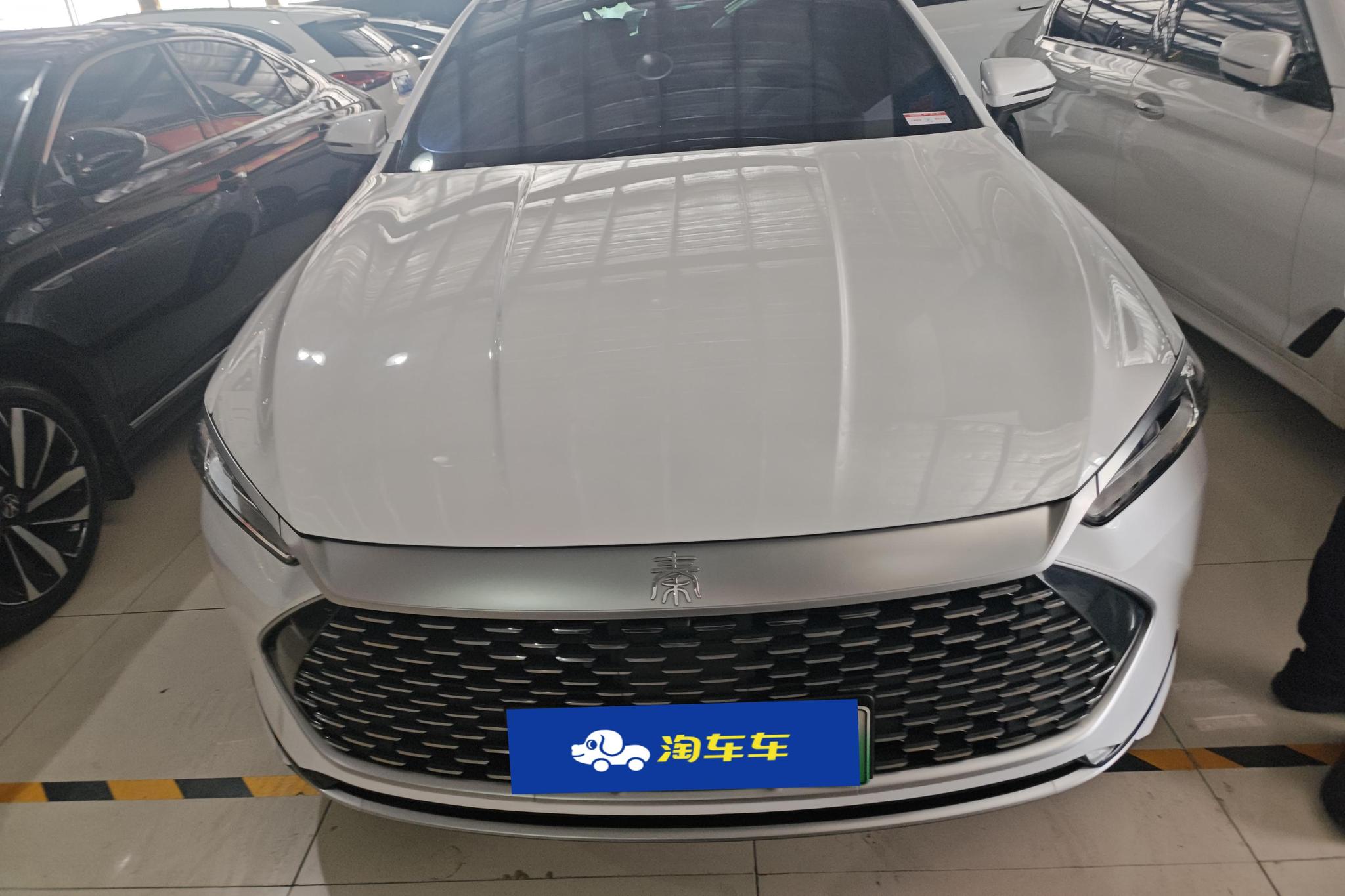 BYD Qin Plus DM-i PLUS DM 2024 DM-i 55KM Lead