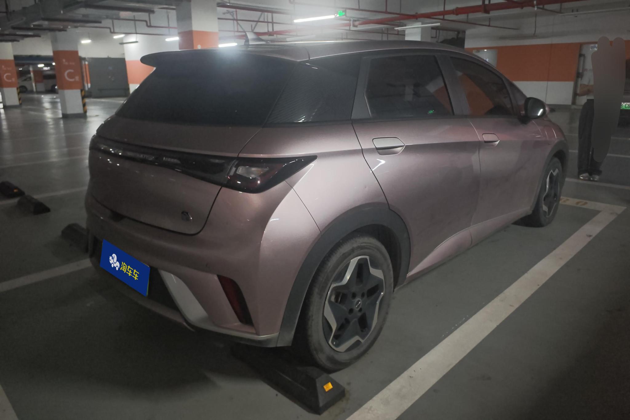 BYD Dolphin 2021 Fashion