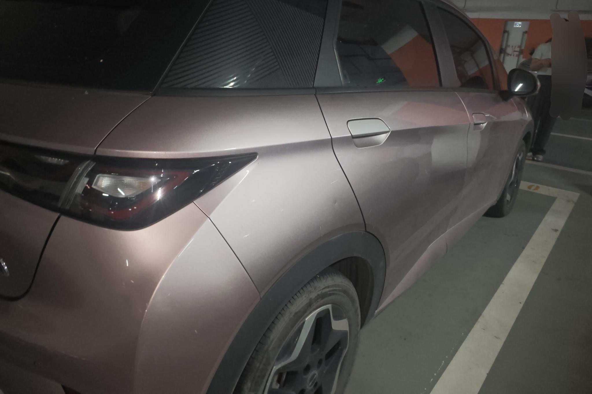 BYD Dolphin 2021 Fashion