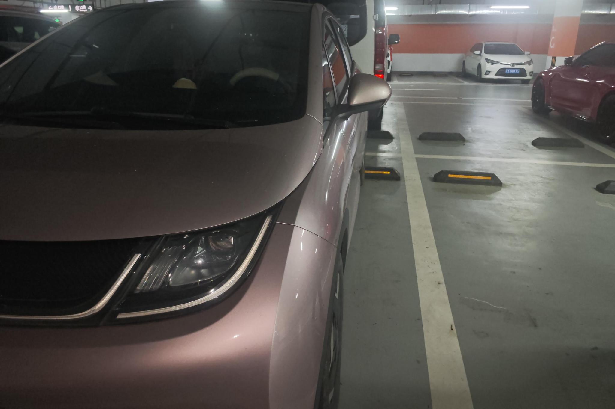 BYD Dolphin 2021 Fashion