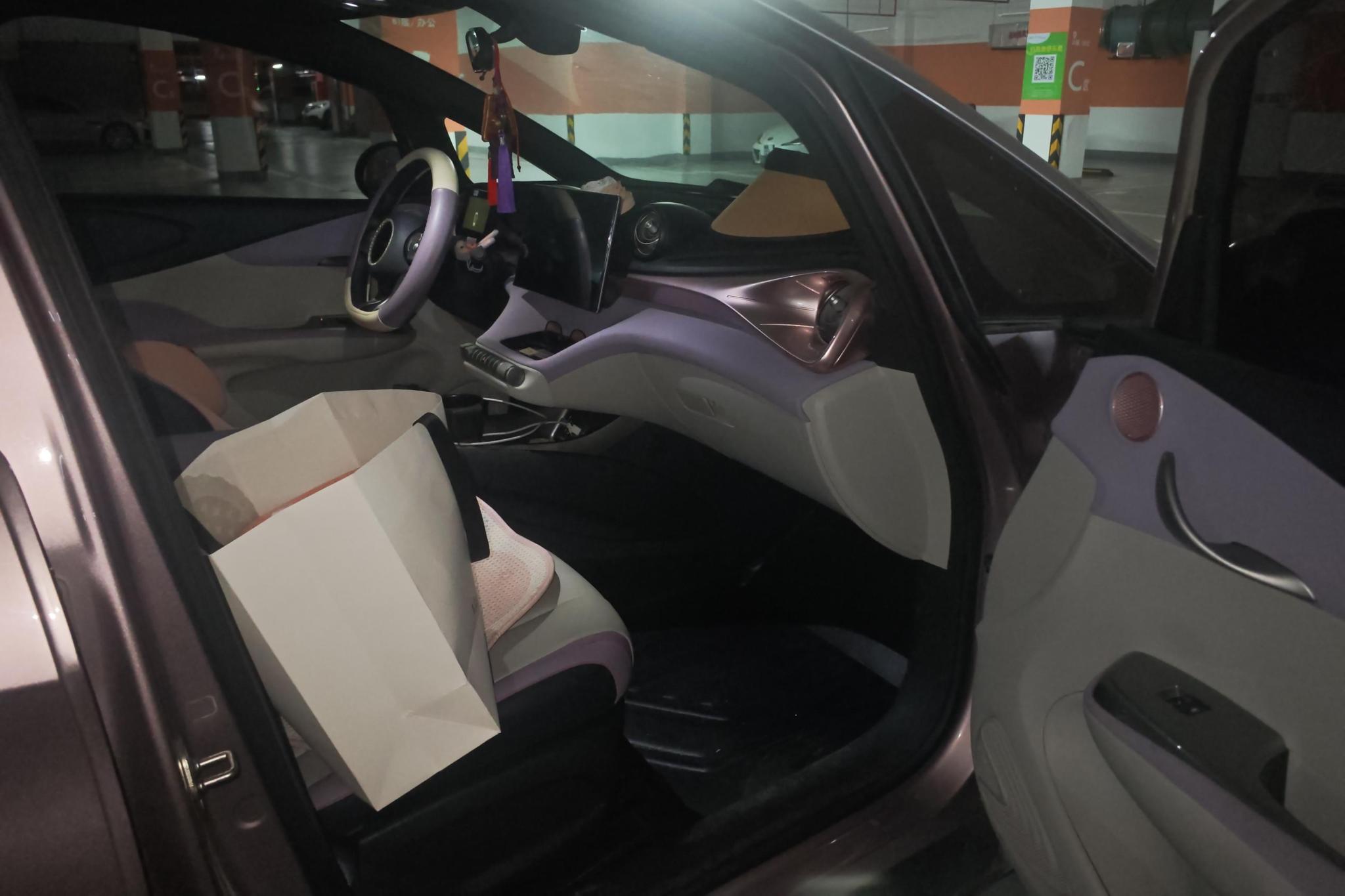 BYD Dolphin 2021 Fashion