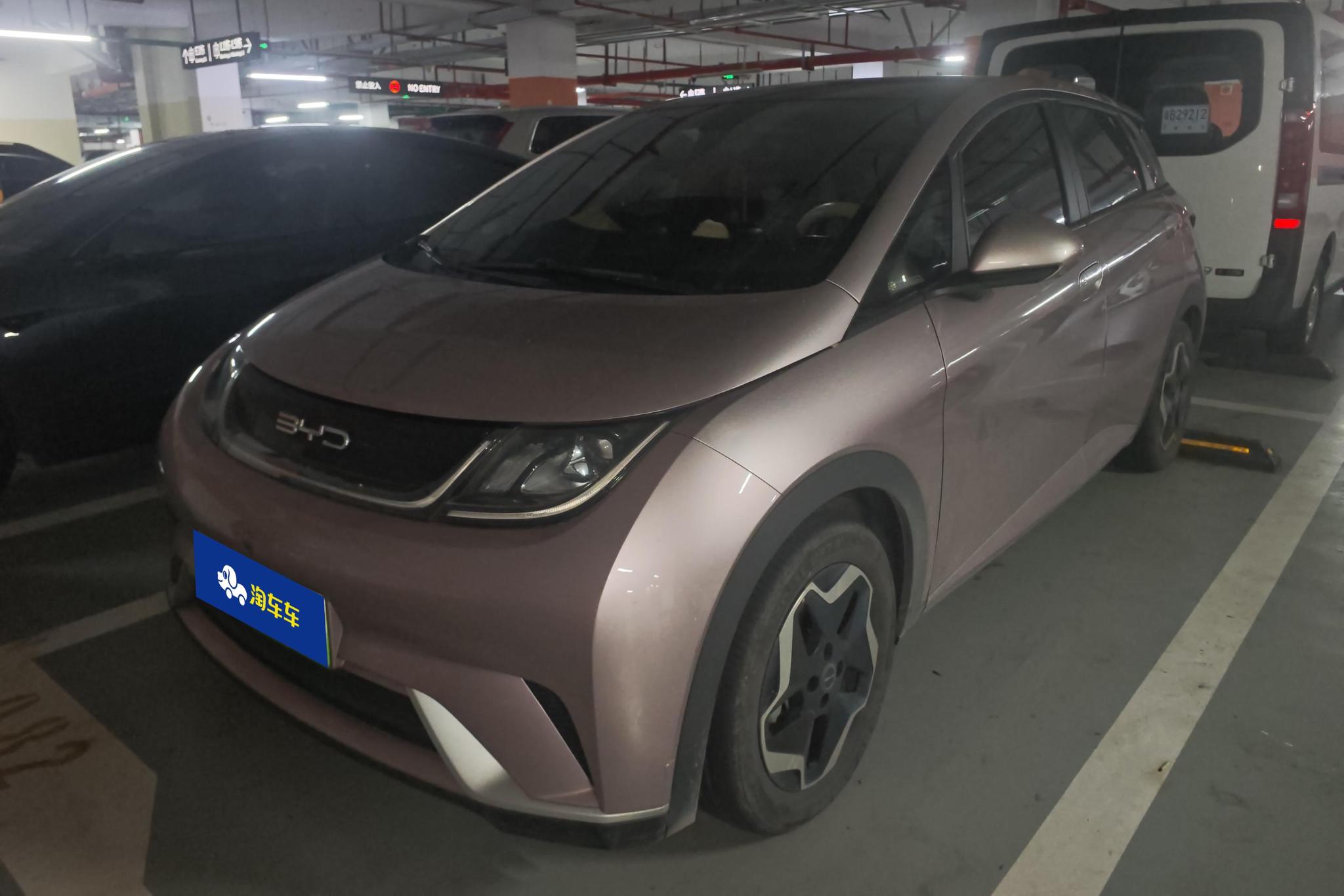 BYD Dolphin