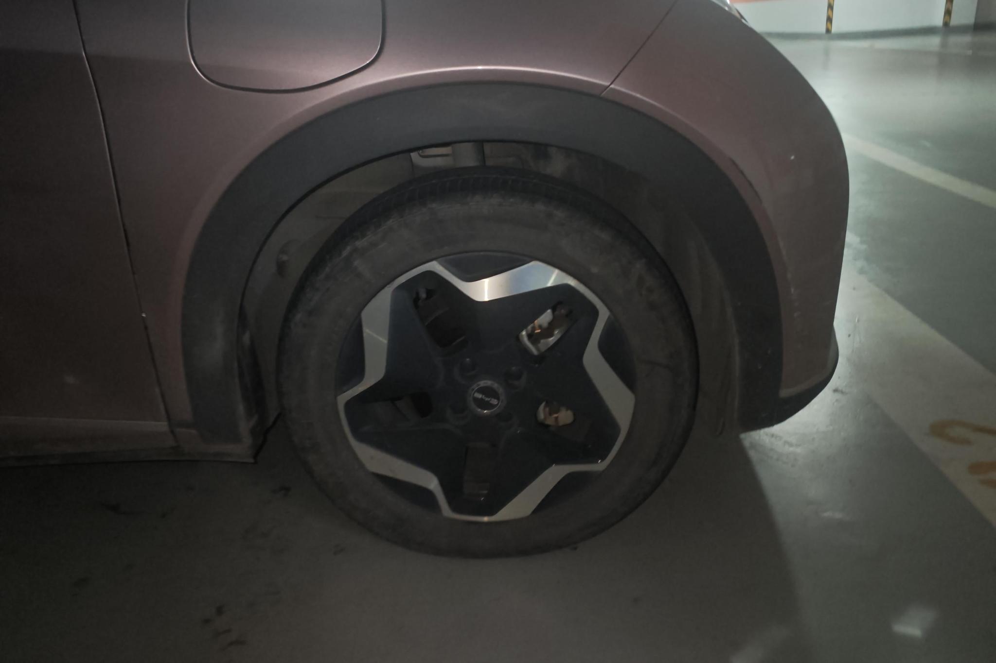 BYD Dolphin 2021 Fashion
