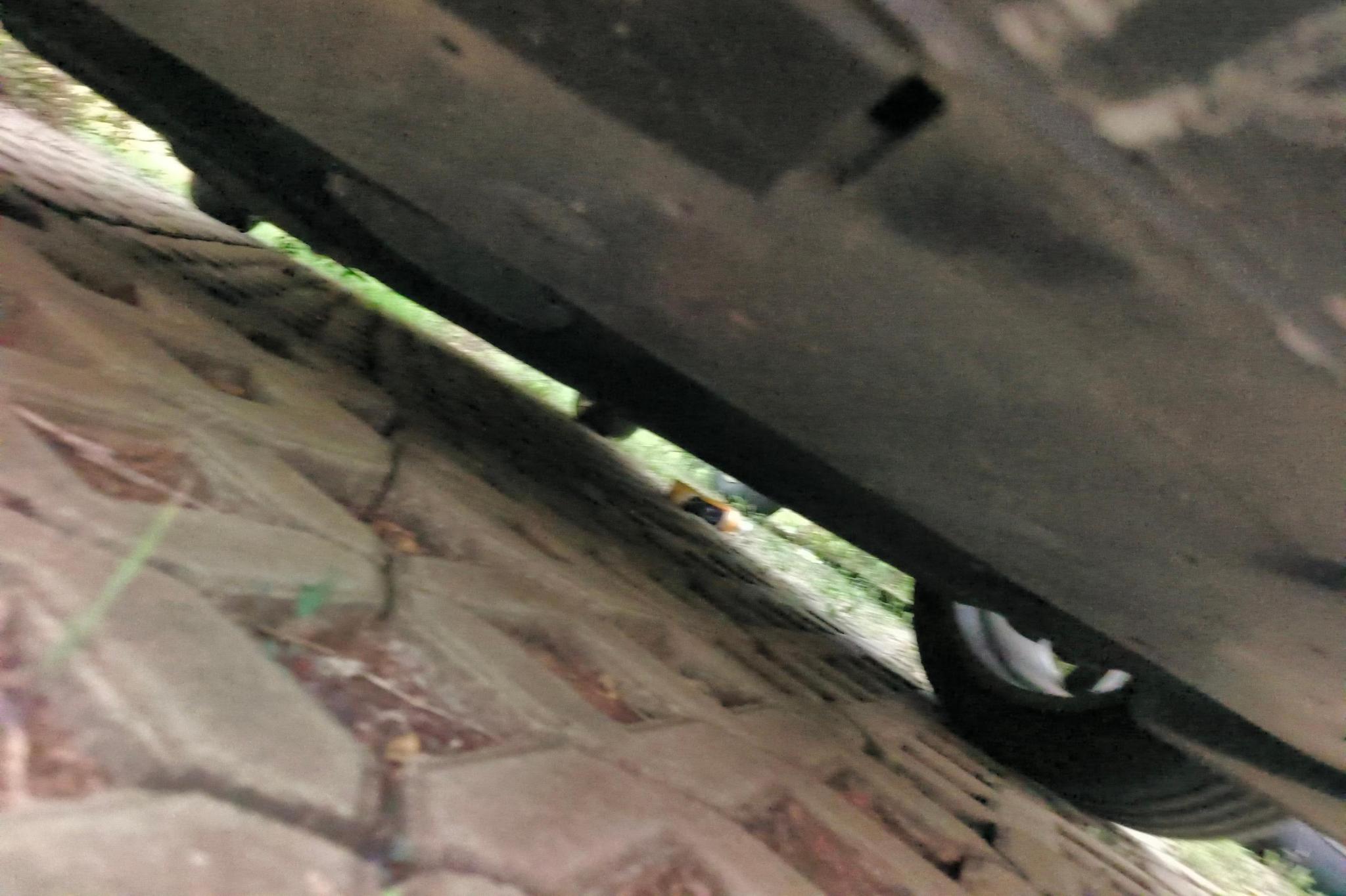 Mazda Mazda3 3 2020 2.0L AT