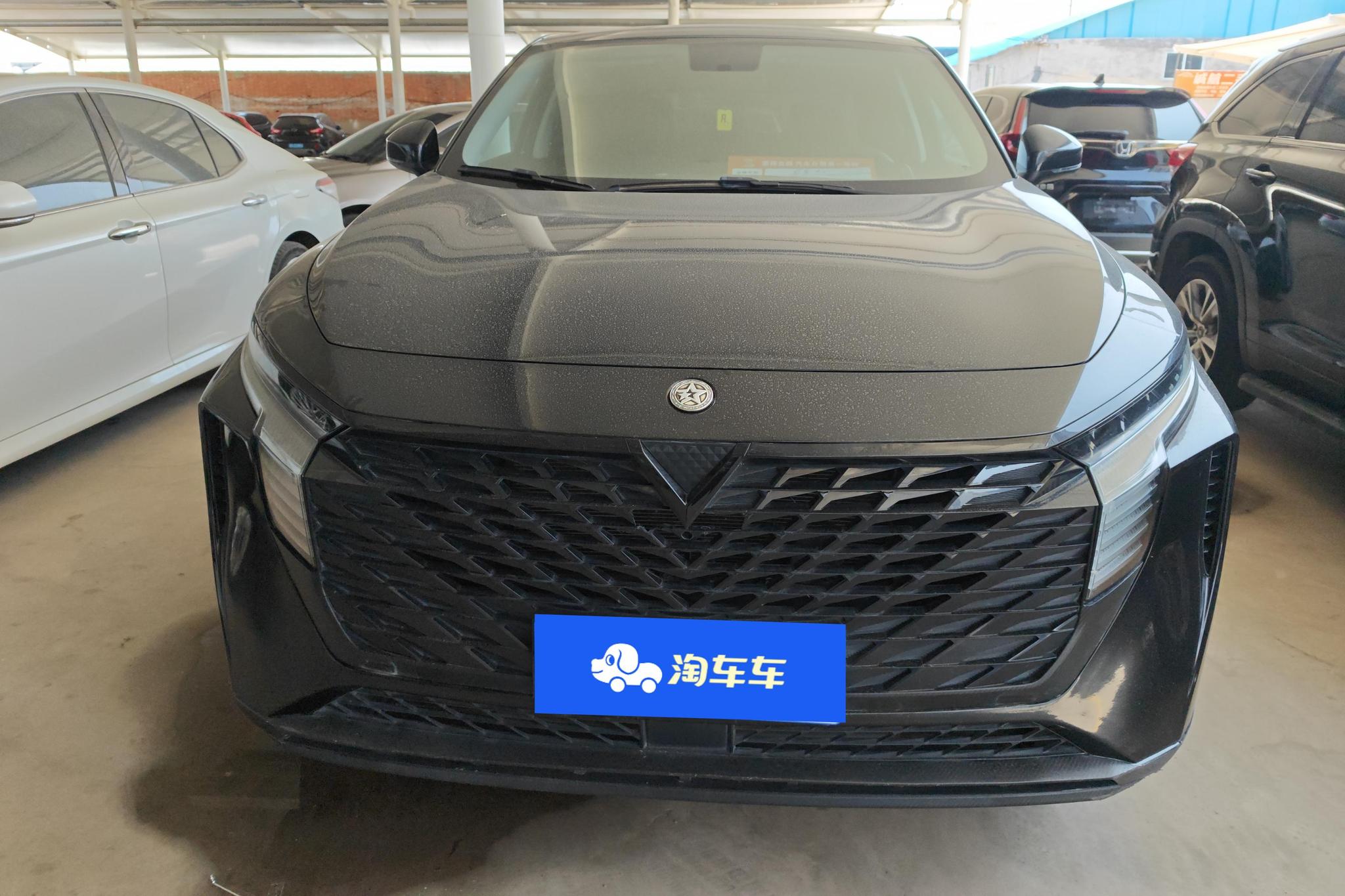 Venucia V 2022 260T