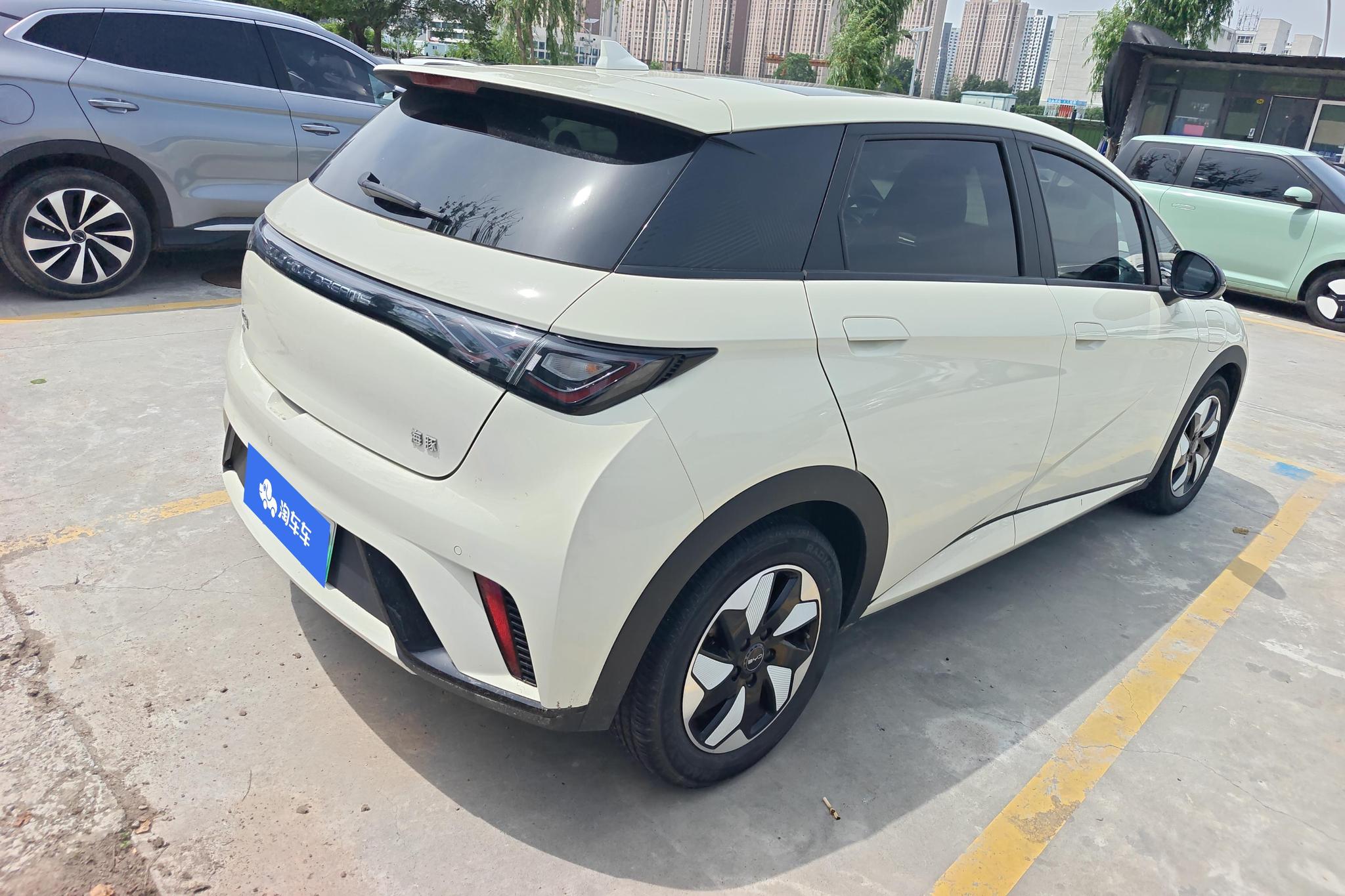 BYD Dolphin 2024 420km Fashion