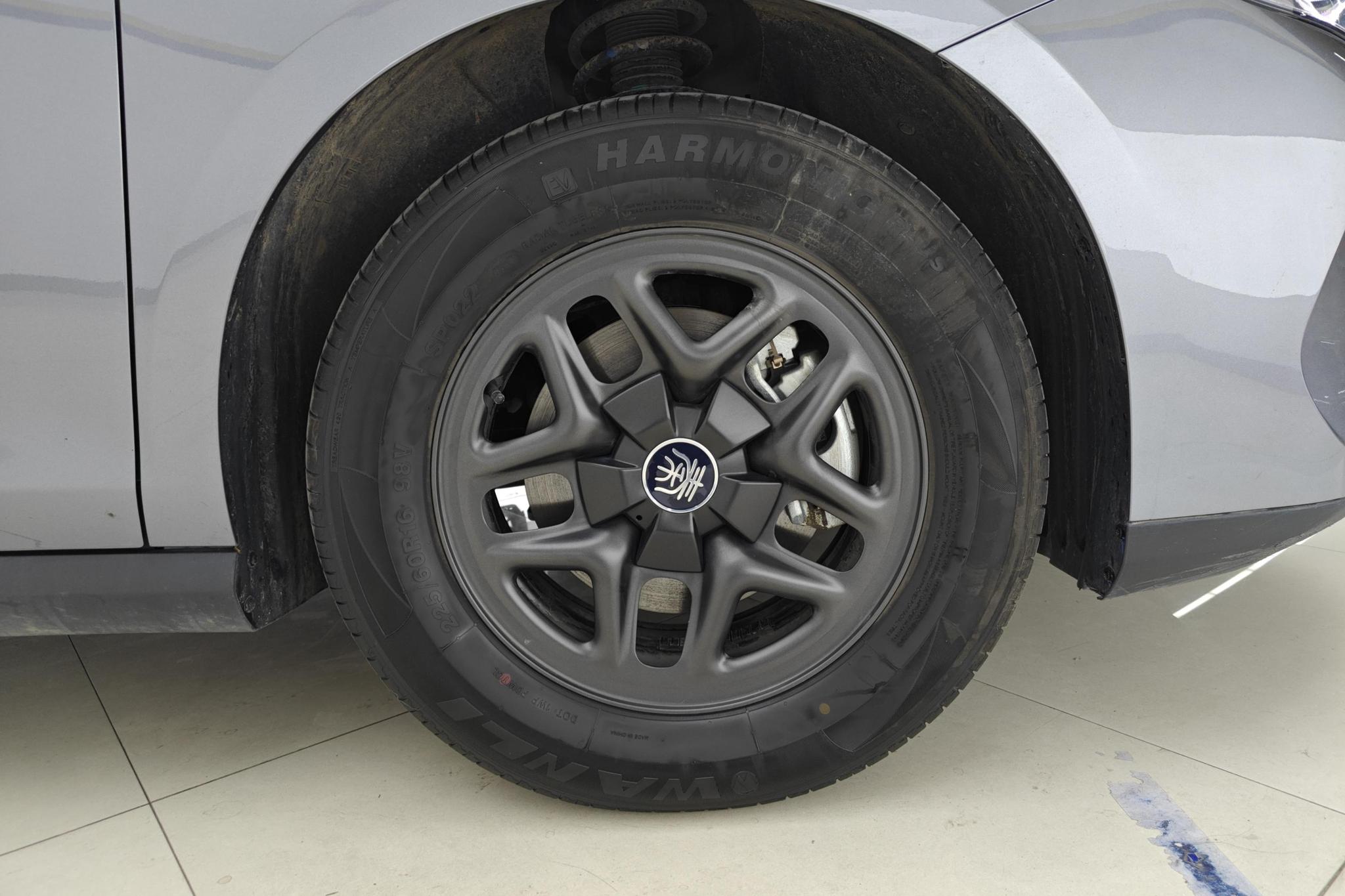 BYD Qin Plus DM-i PLUS DM 2025 Smart Drive DM-i 55KM Lead