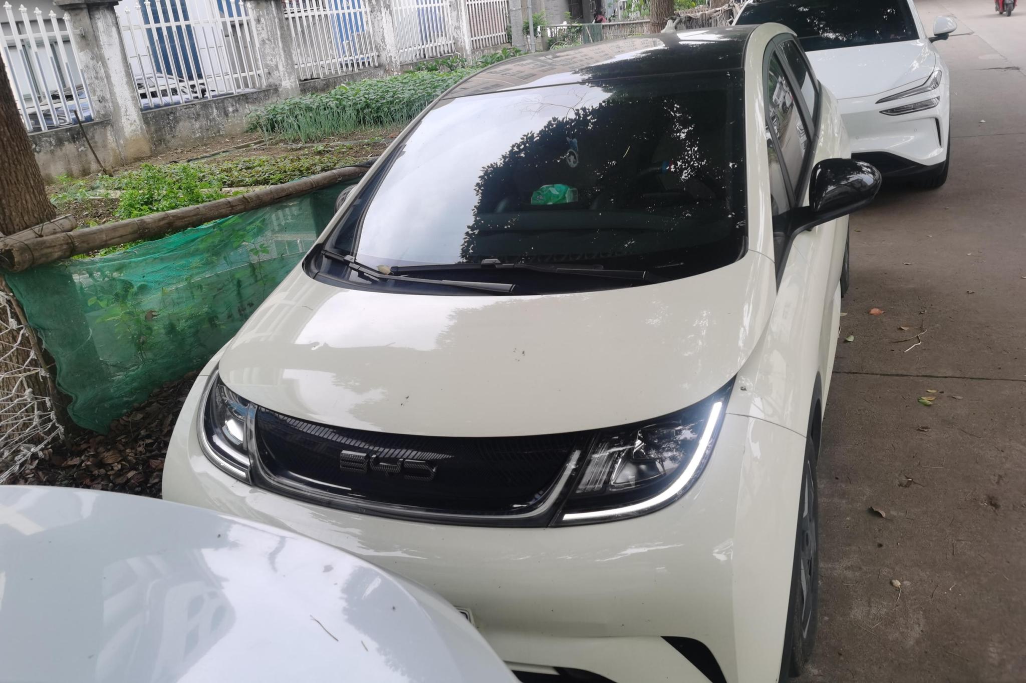 BYD Dolphin 2021 Fashion