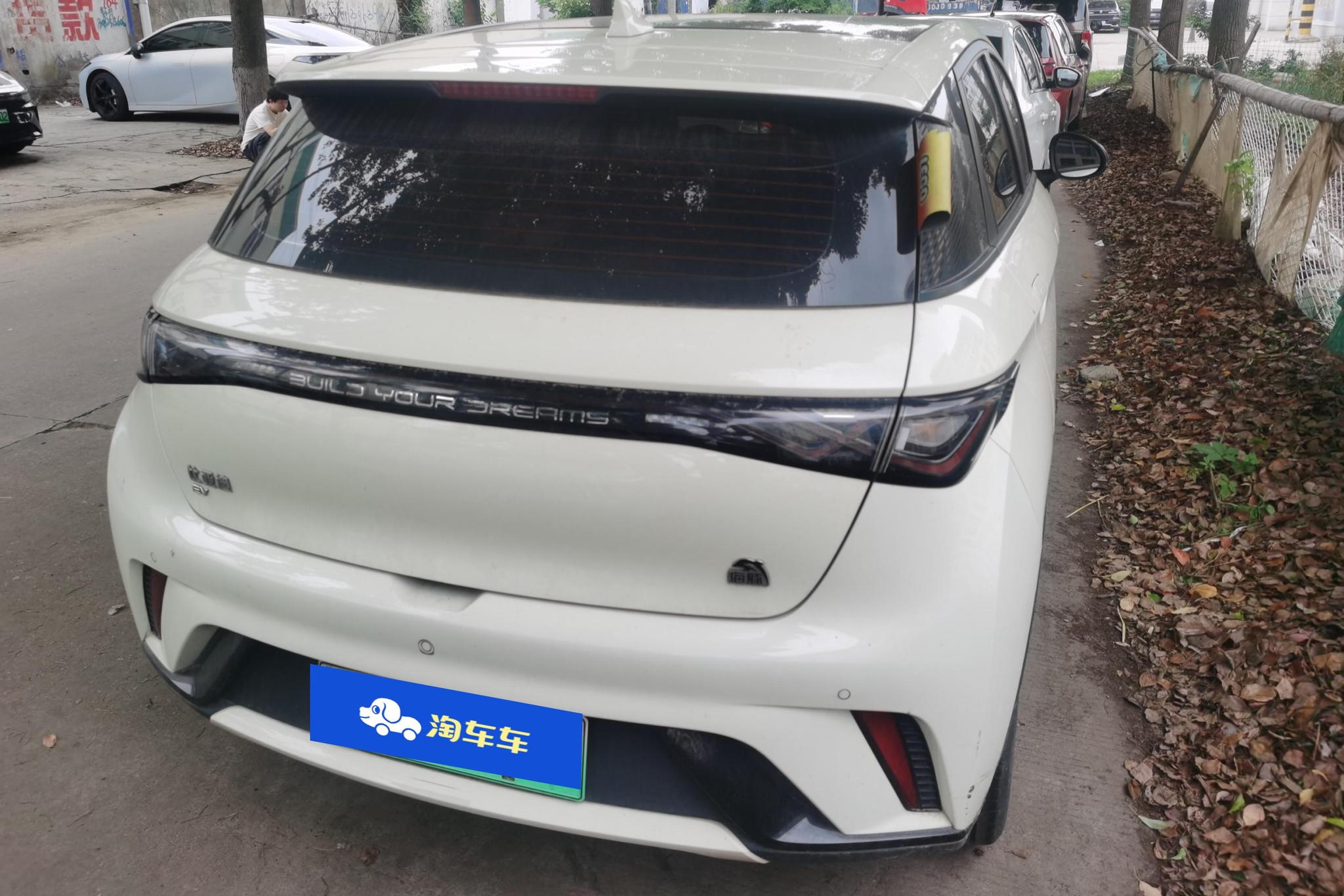 BYD Dolphin 2021 Fashion