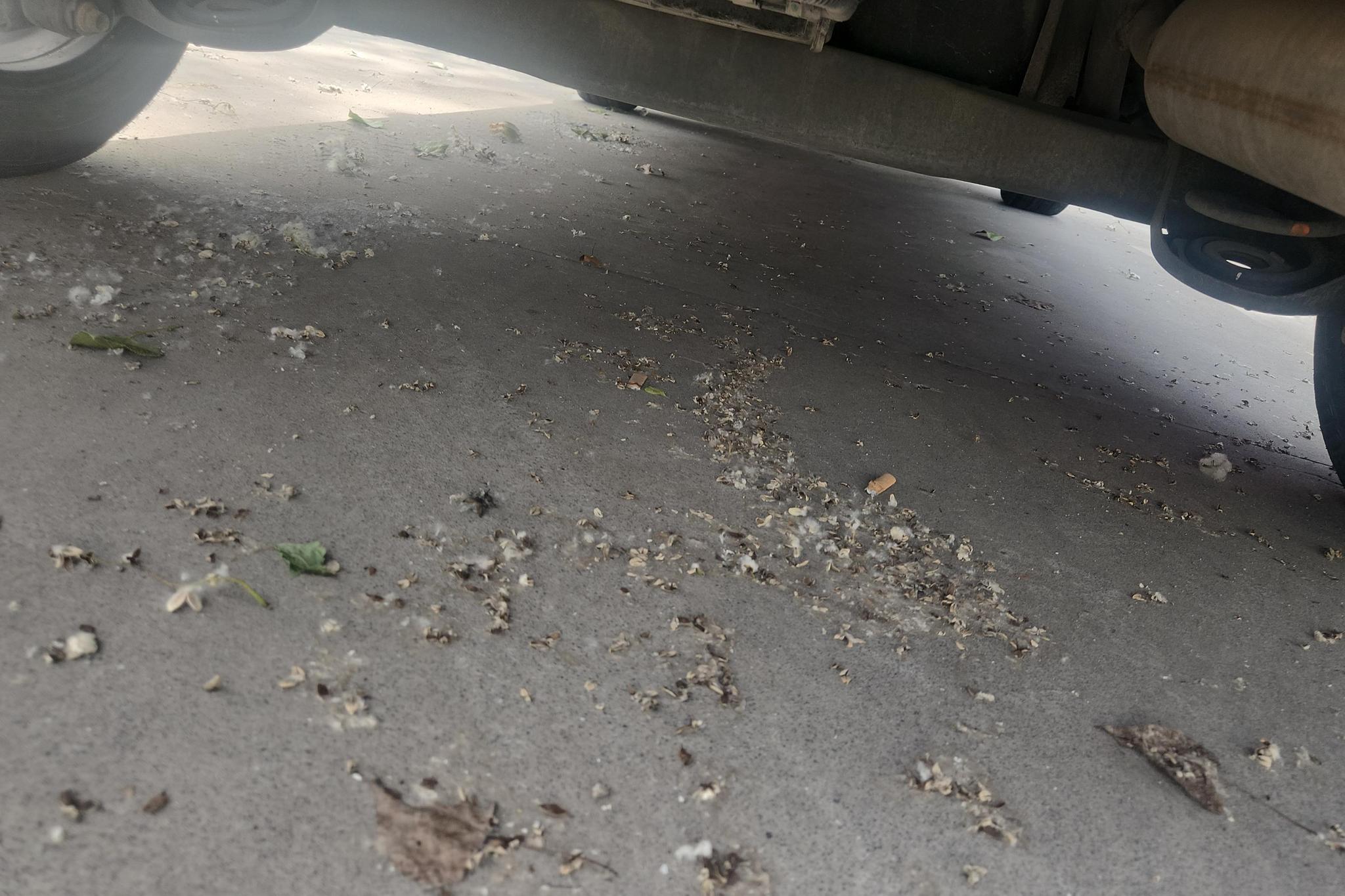 Toyota Yaris L Zhixuan YARIS L 2019 1.5E CVT VI