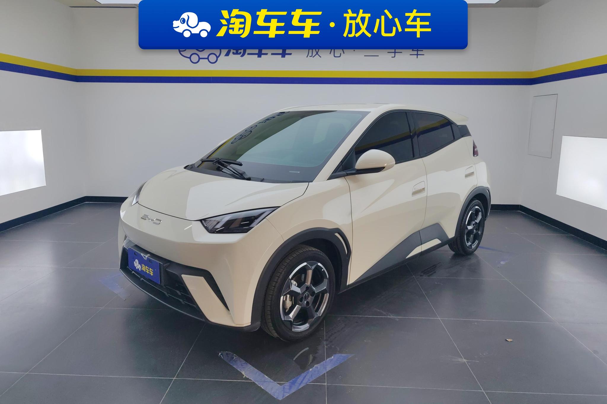 BYD Seagull