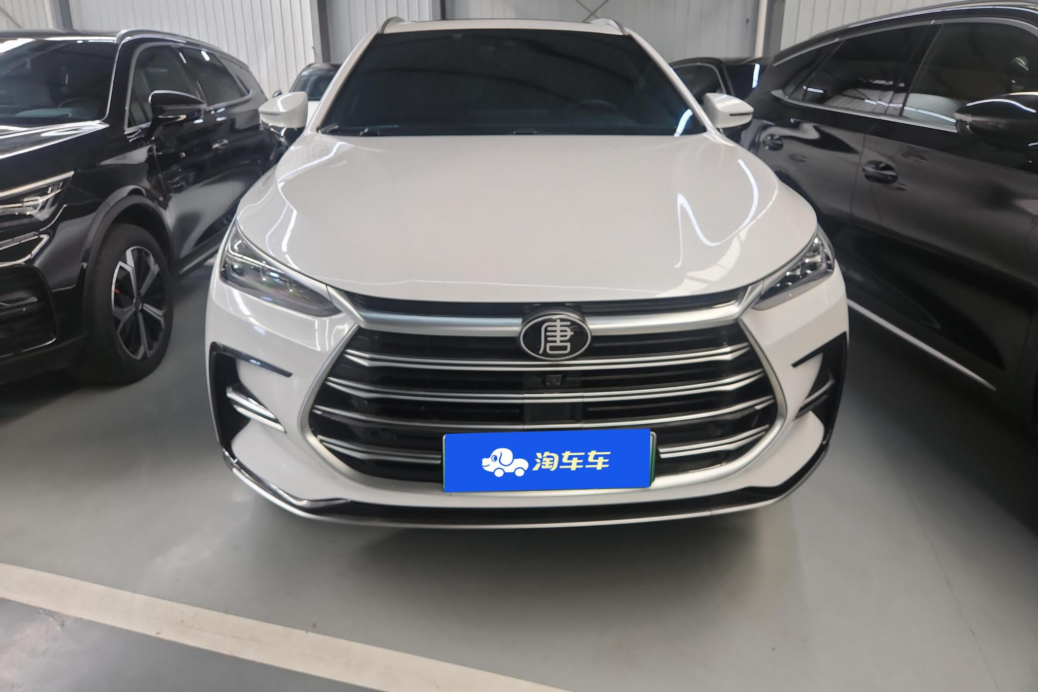 BYD Tang DM 2021 DM 2.0T