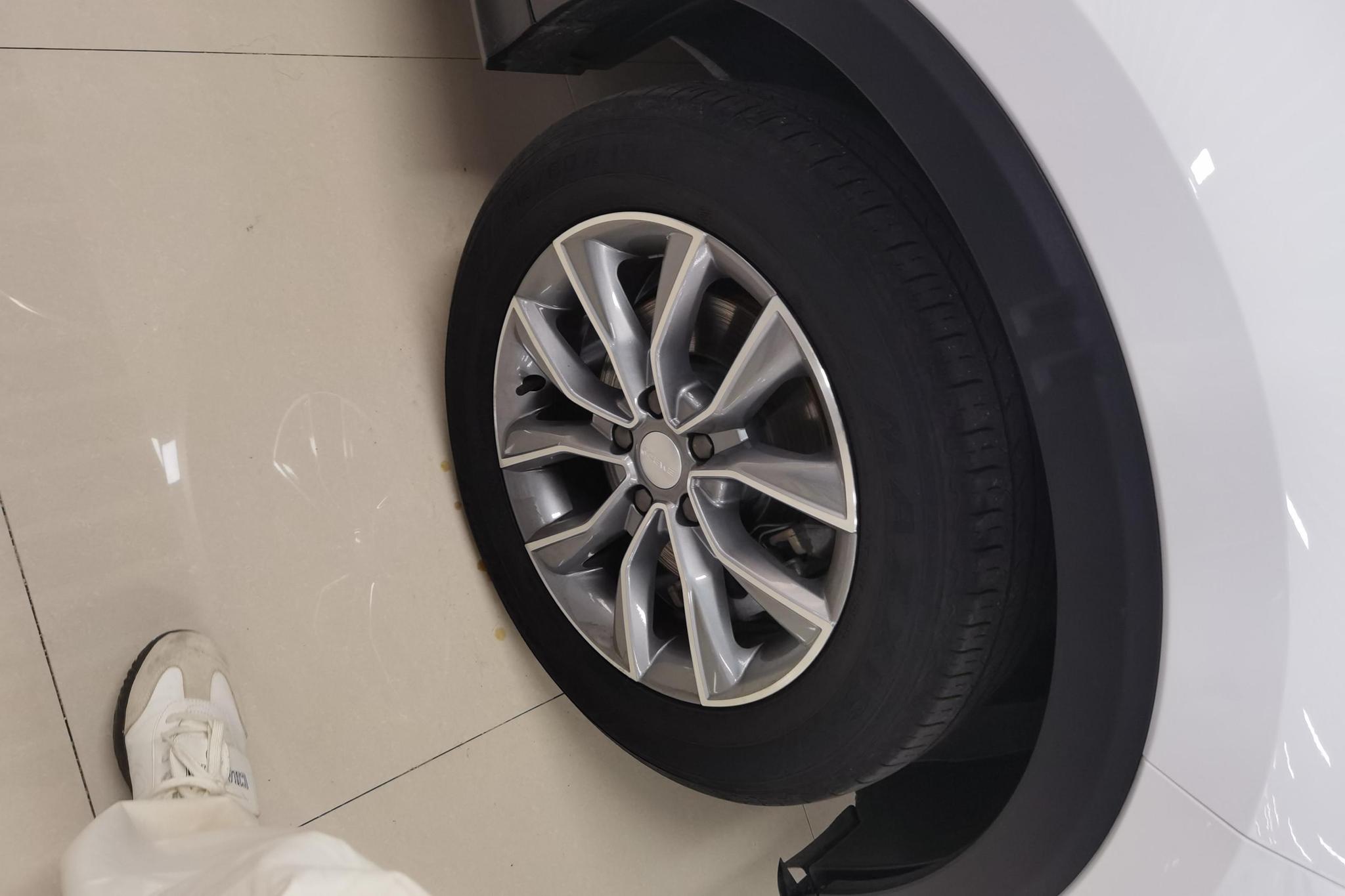 Roewe RX5 2023 PLUS 330TGI AT