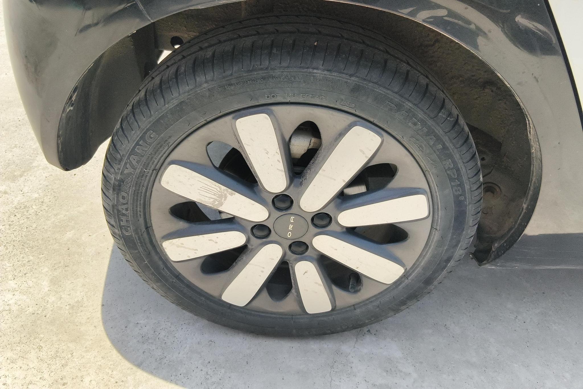 Ora Black Cat 2019 351km